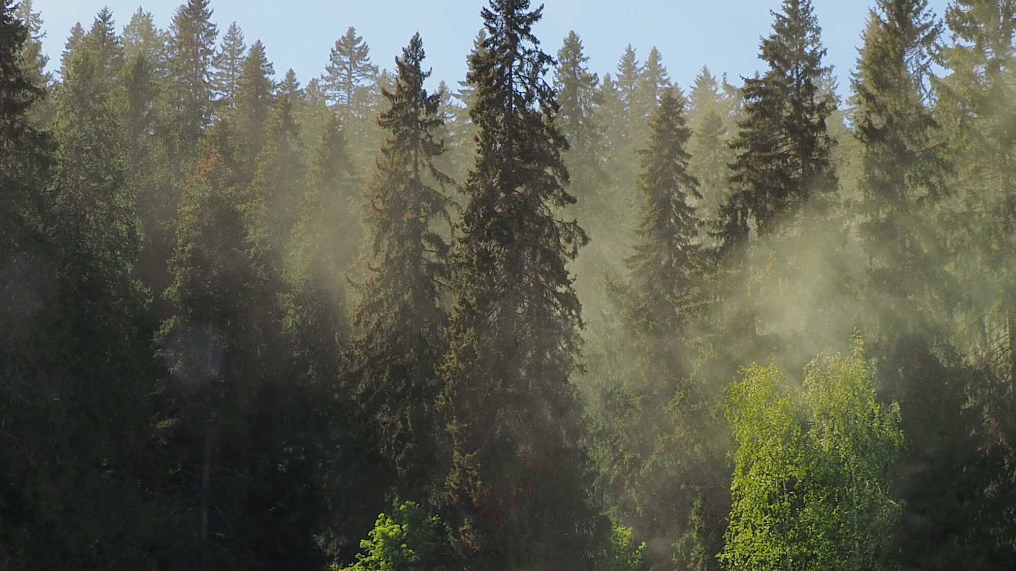 Valokuvaaja: Martti Valtonen