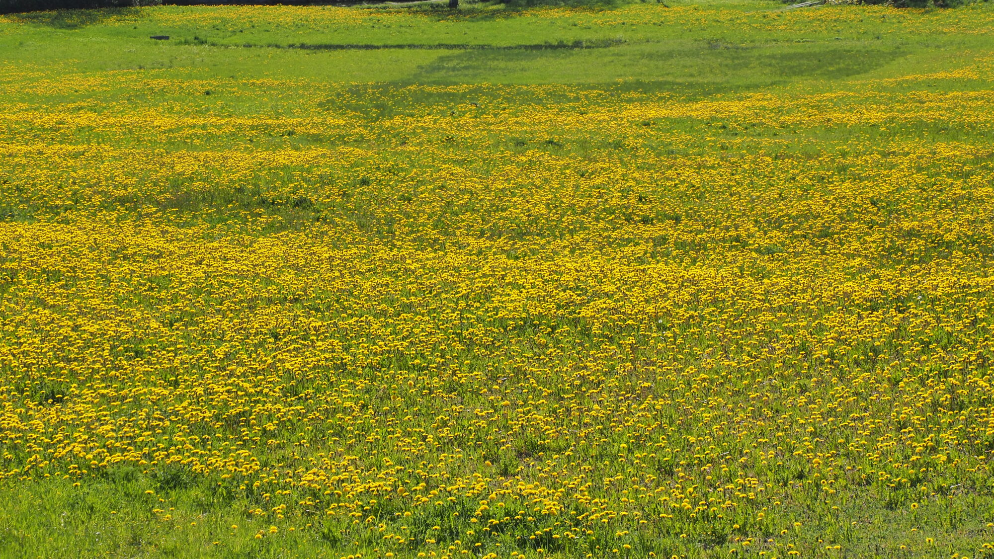 Valokuvaaja: Martti Valtonen