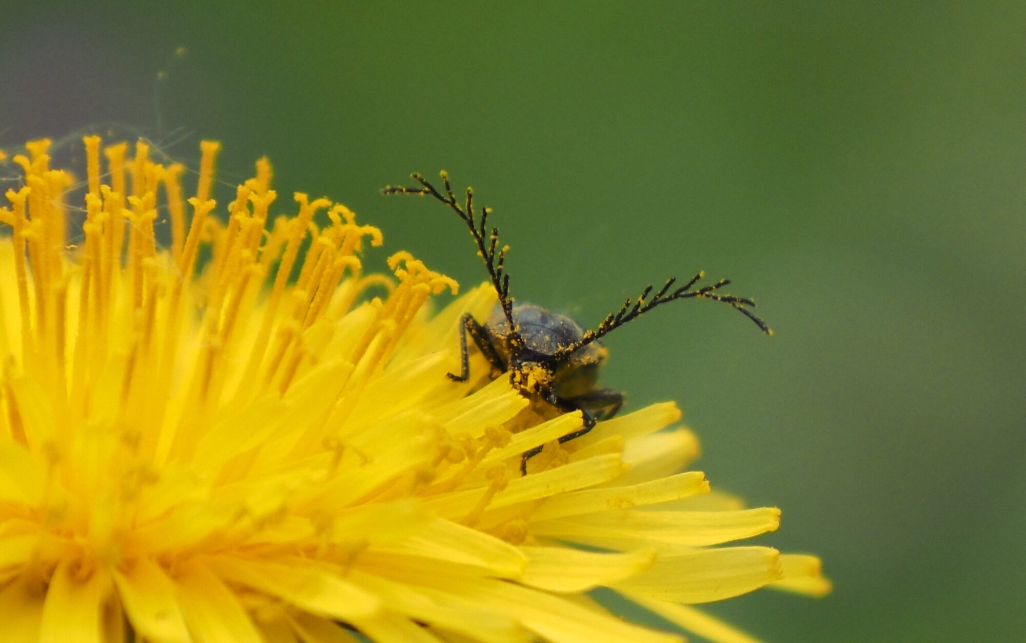 Valokuvaaja: Arja Valtonen