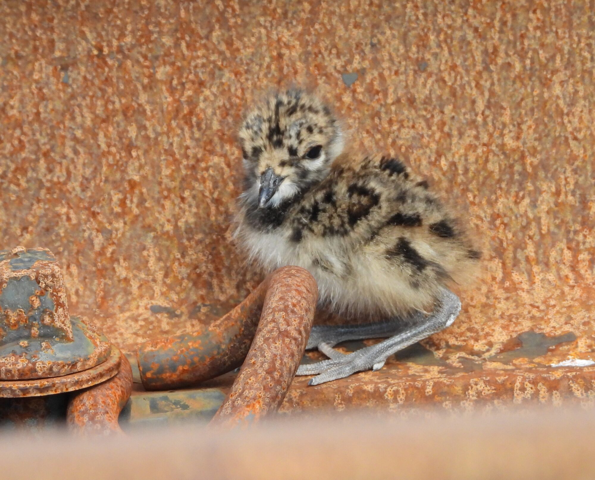 Valokuvaaja: Jorma Eskola