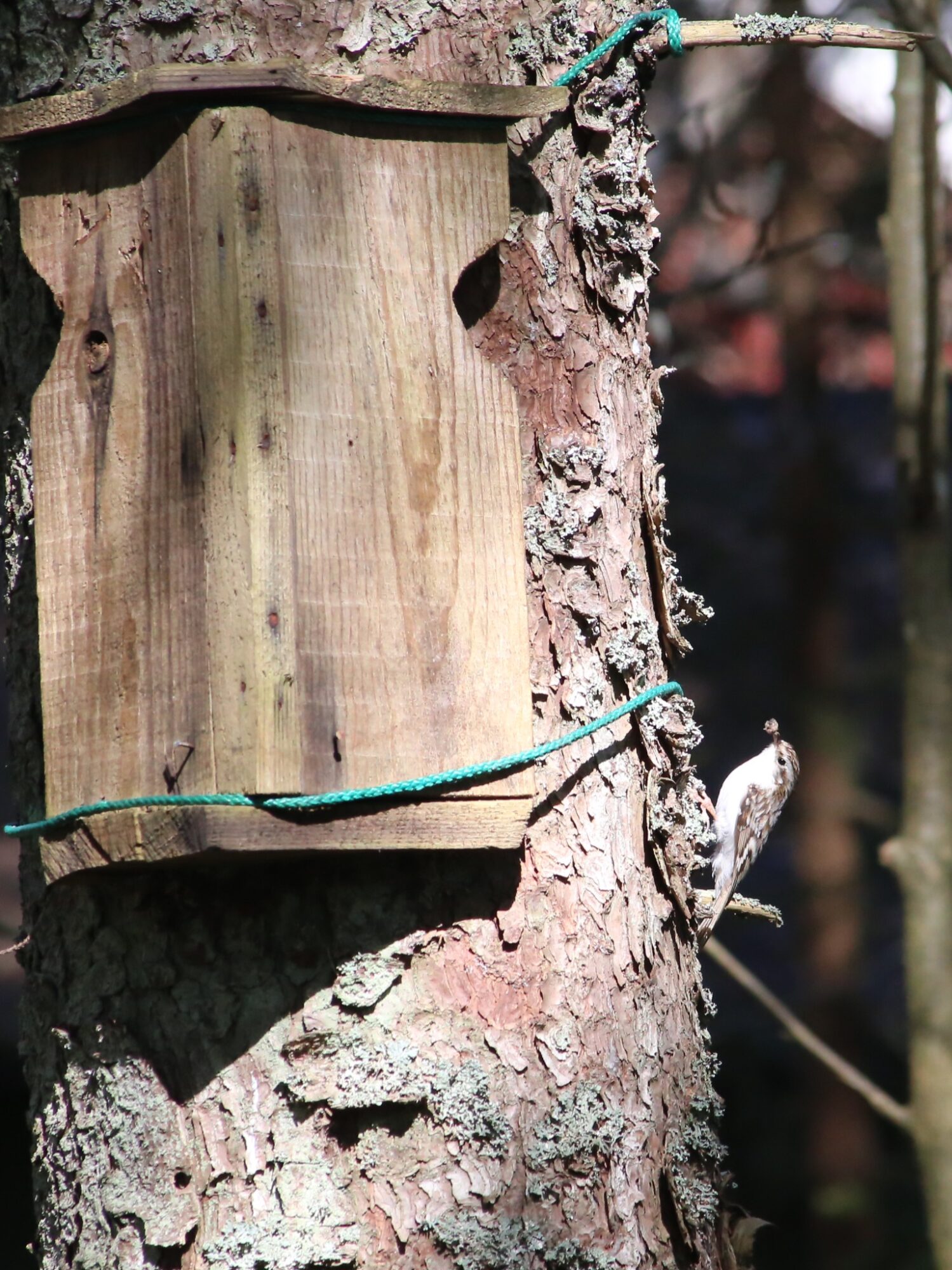 Valokuvaaja: Timo Tuomisto