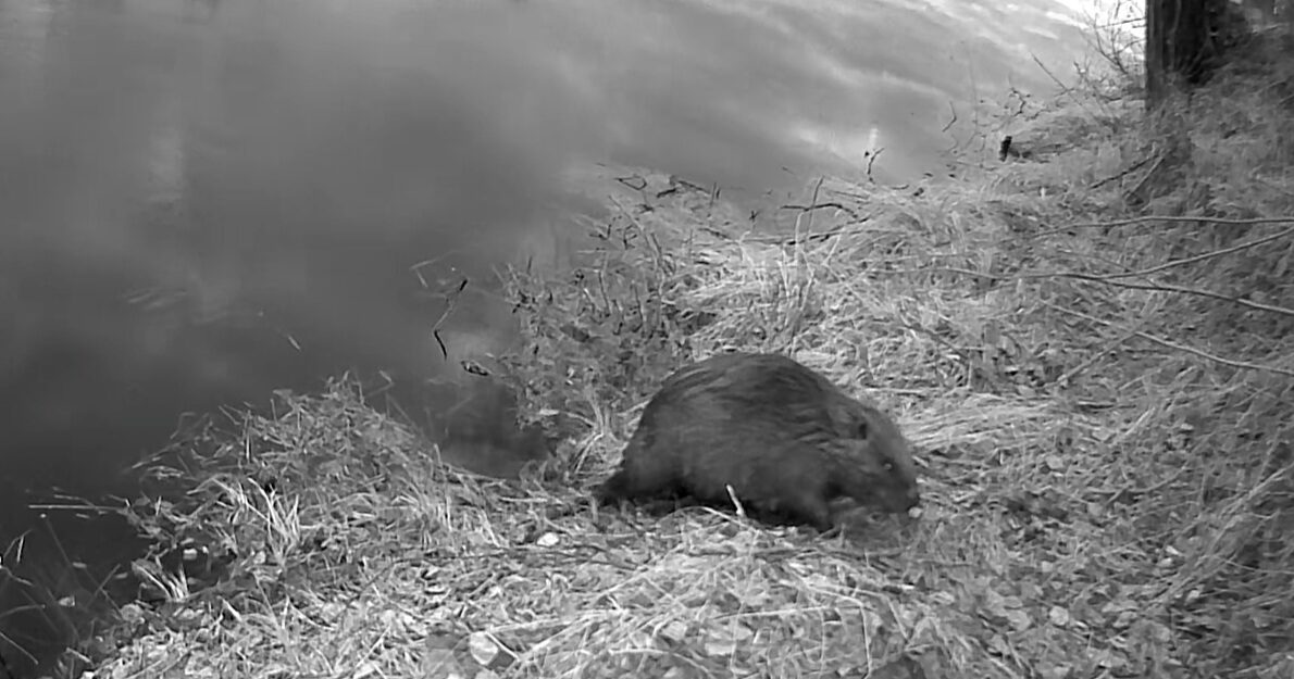 Valokuvaaja: Merja Karhunen