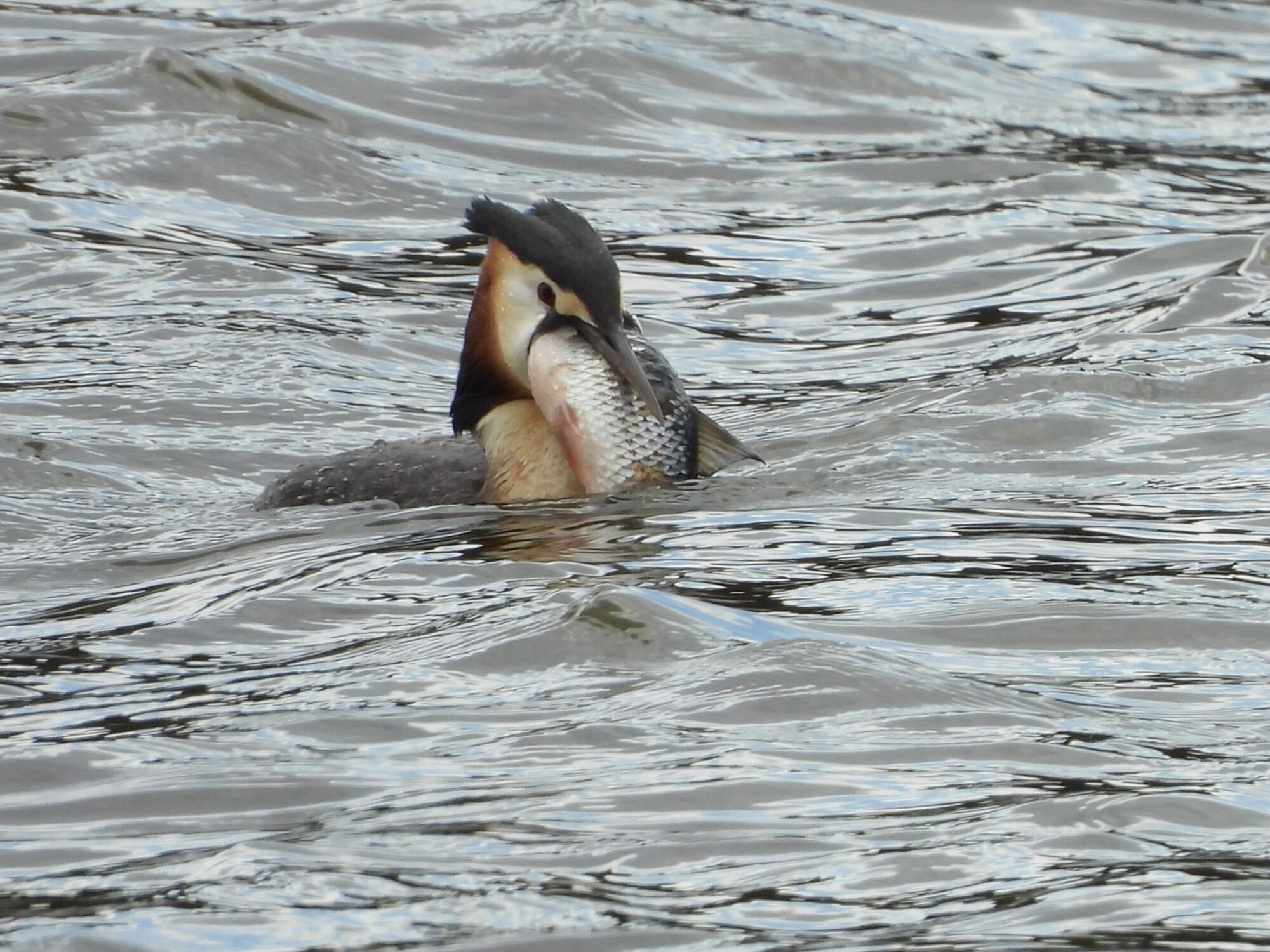 Valokuvaaja: Jorma Eskola Valokuvaaja: Jorma Eskola