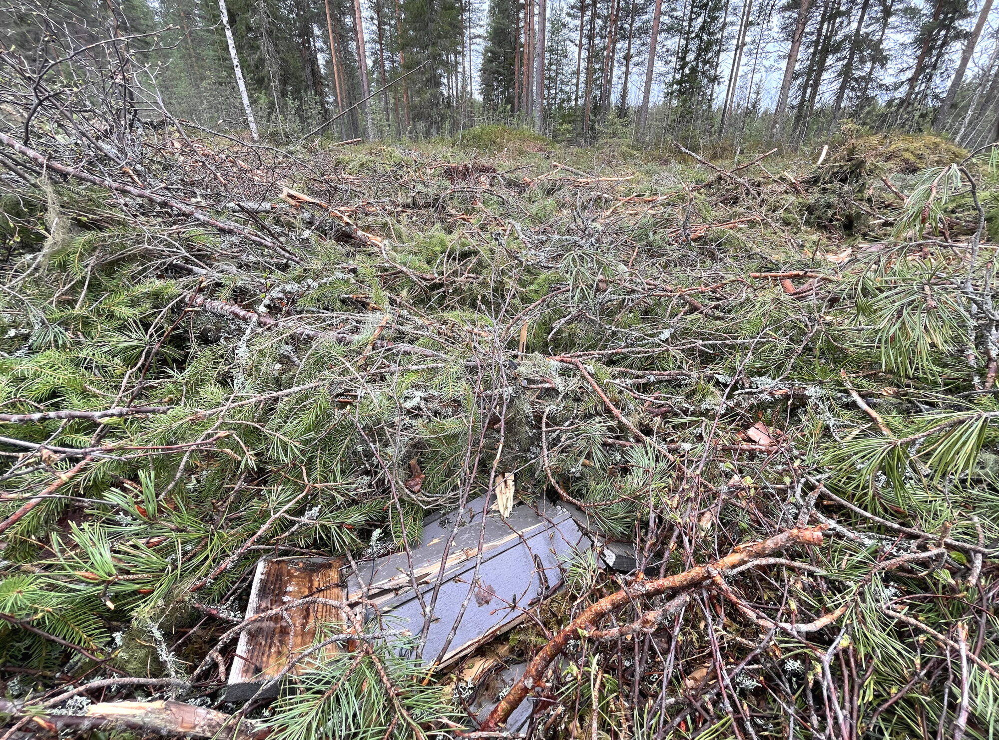 Valokuvaaja: Tuukka Pahtamaa