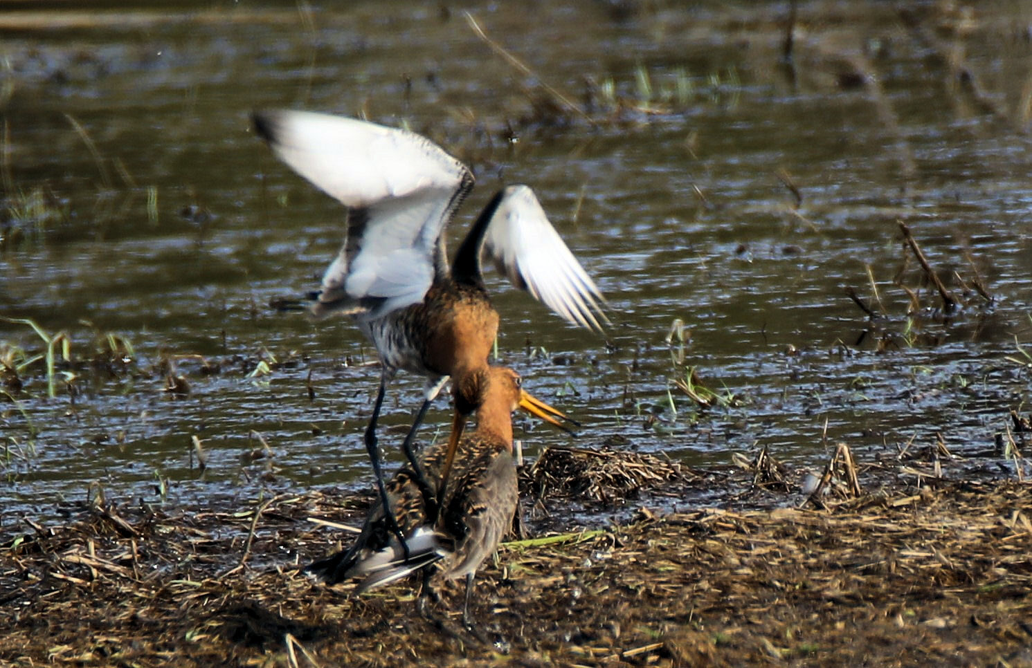 Valokuvaaja: Ahti Keränen Valokuvaaja: Ahti Keränen