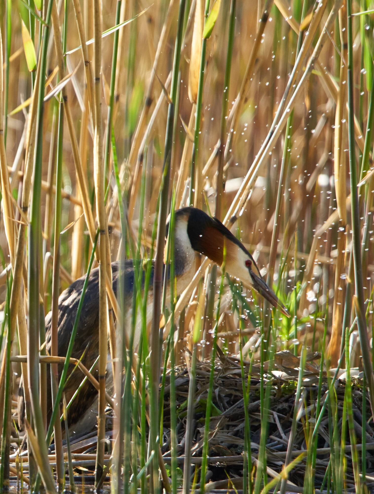 Valokuvaaja: Tarja Kouvo