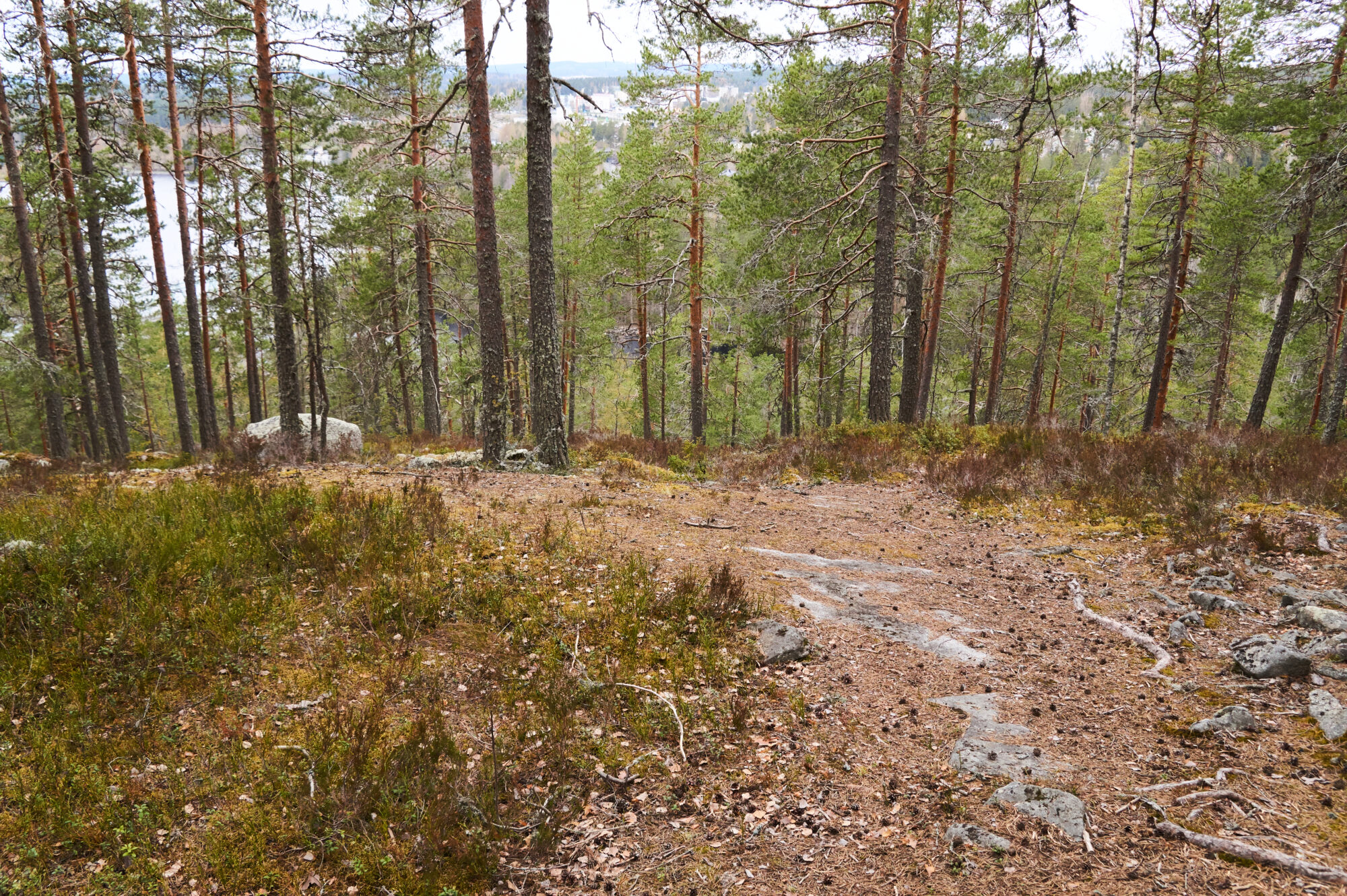 Valokuvaaja: Tarja Kouvo