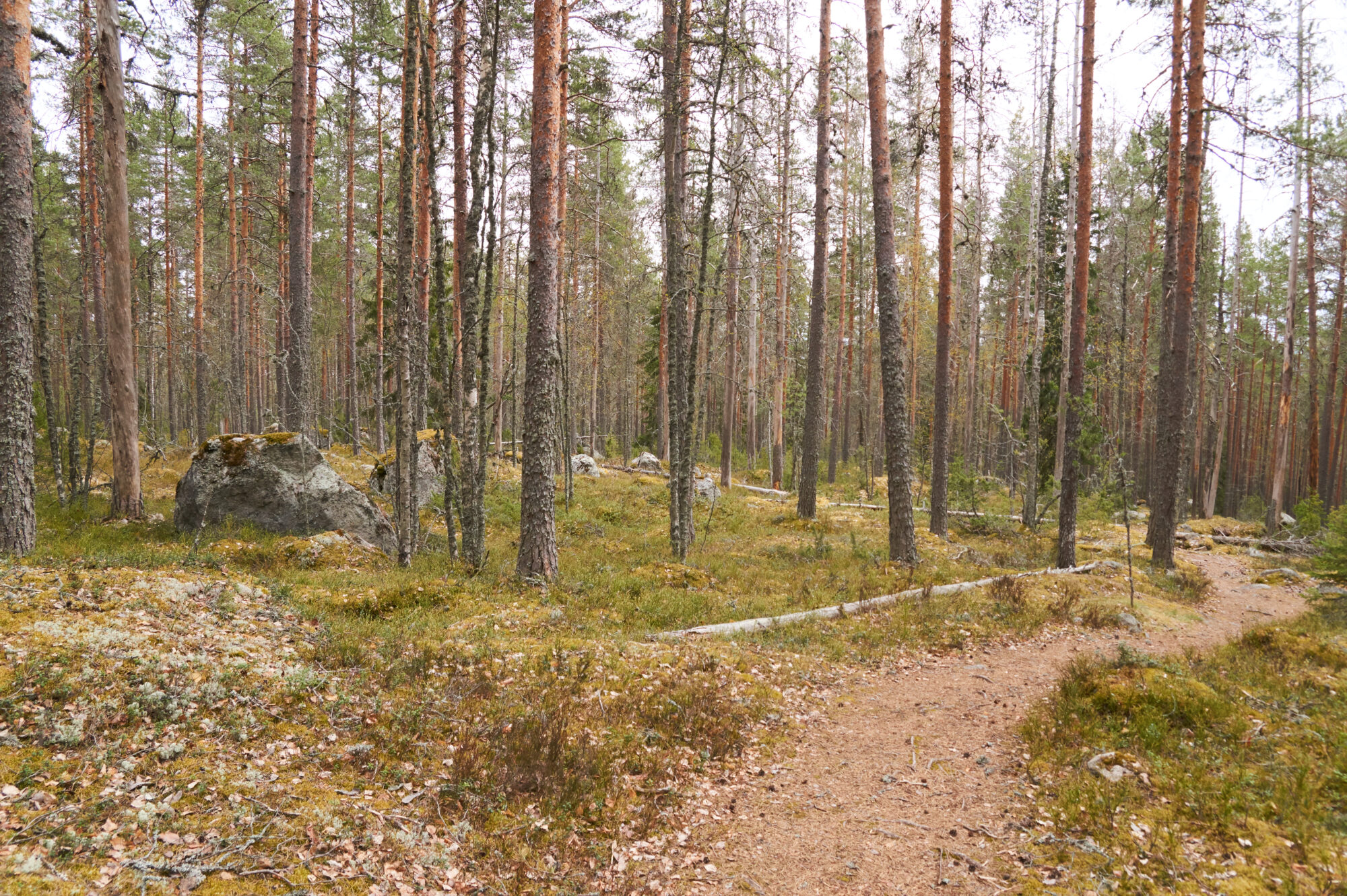 Valokuvaaja: Tarja Kouvo