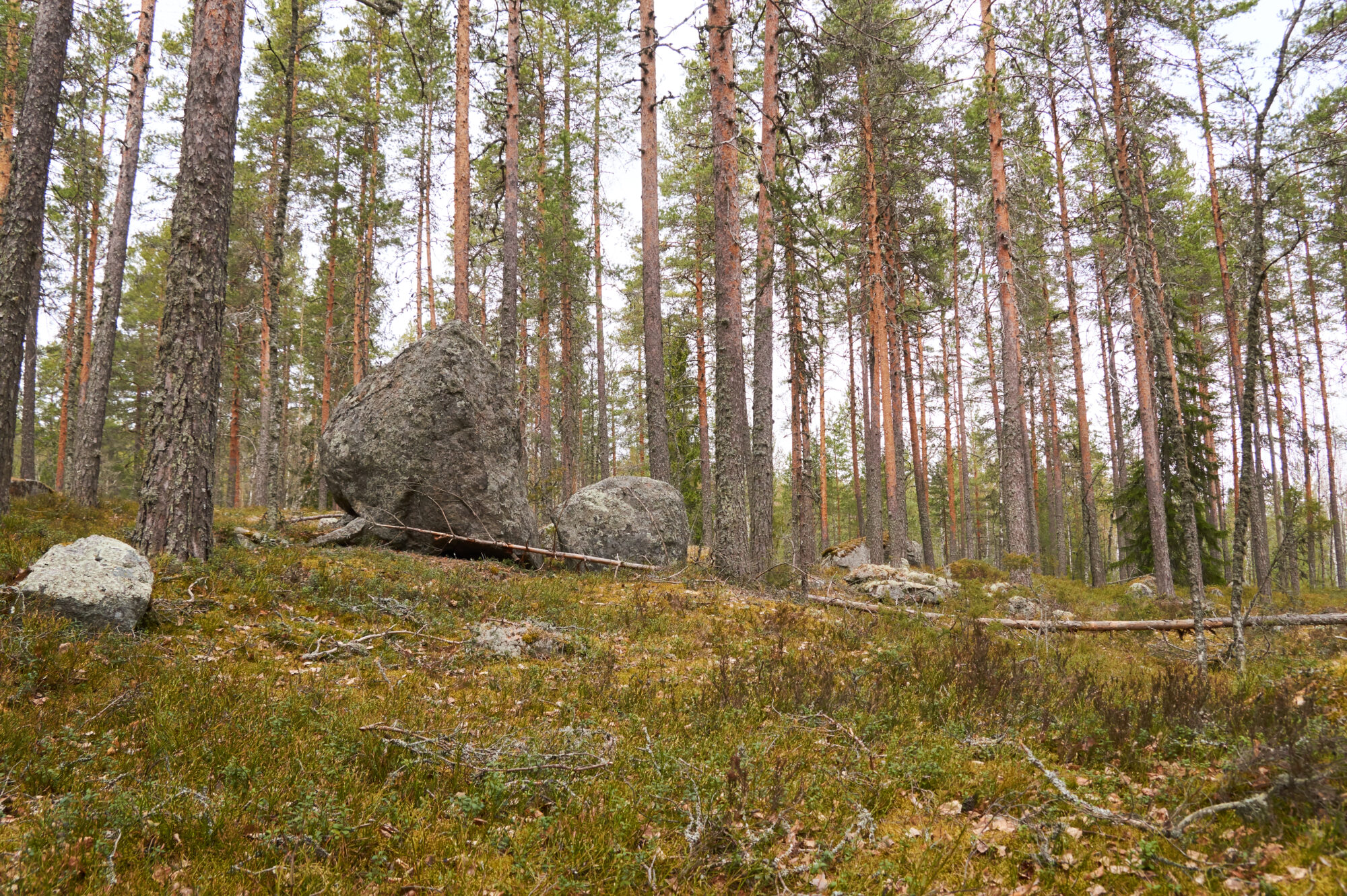 Valokuvaaja: Tarja Kouvo