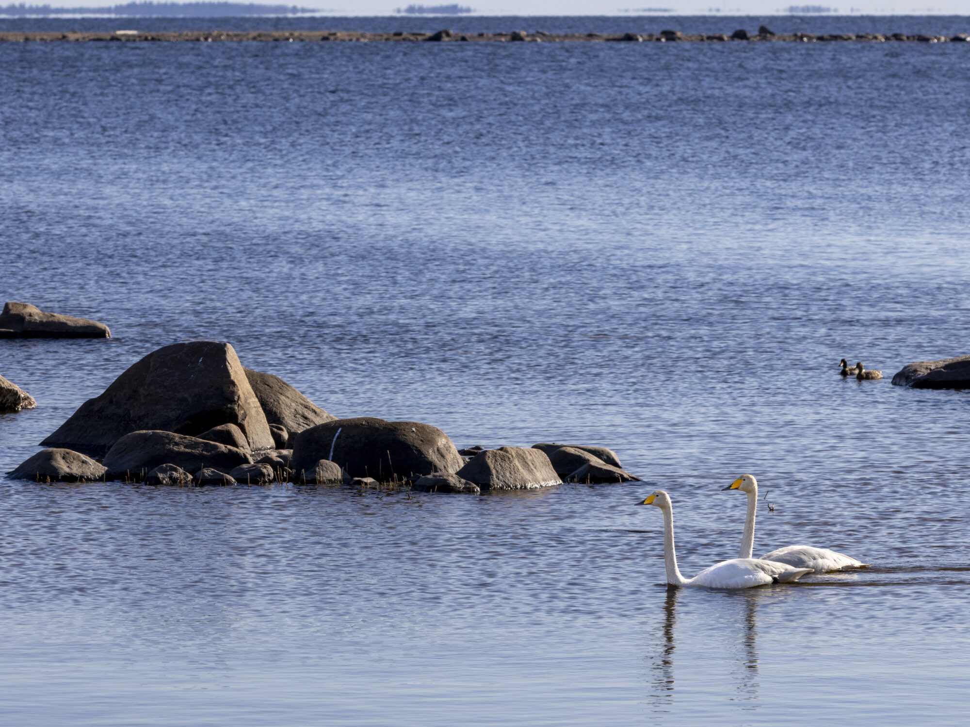 Valokuvaaja: Hannu Tikkanen