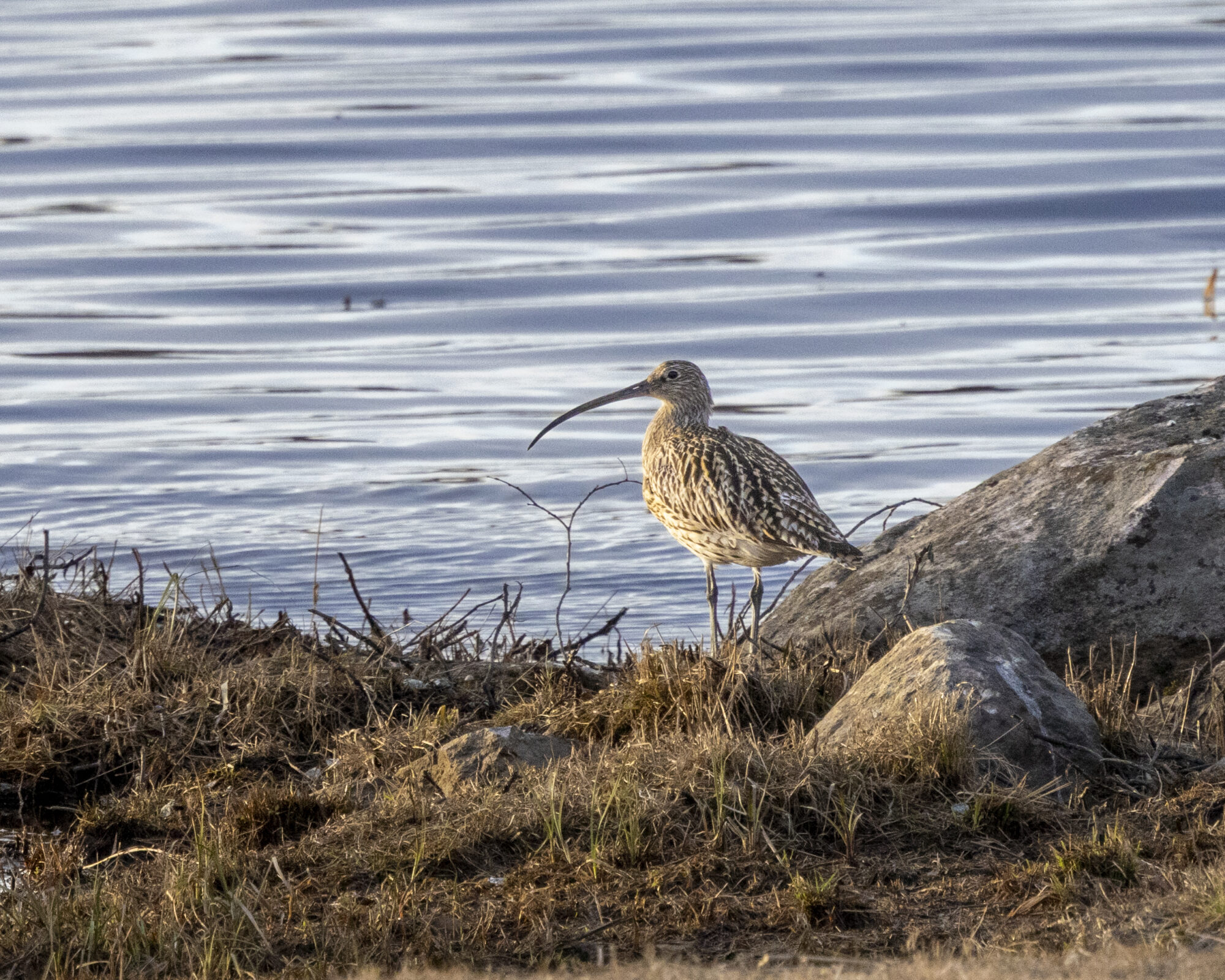 Valokuvaaja: Hannu Tikkanen