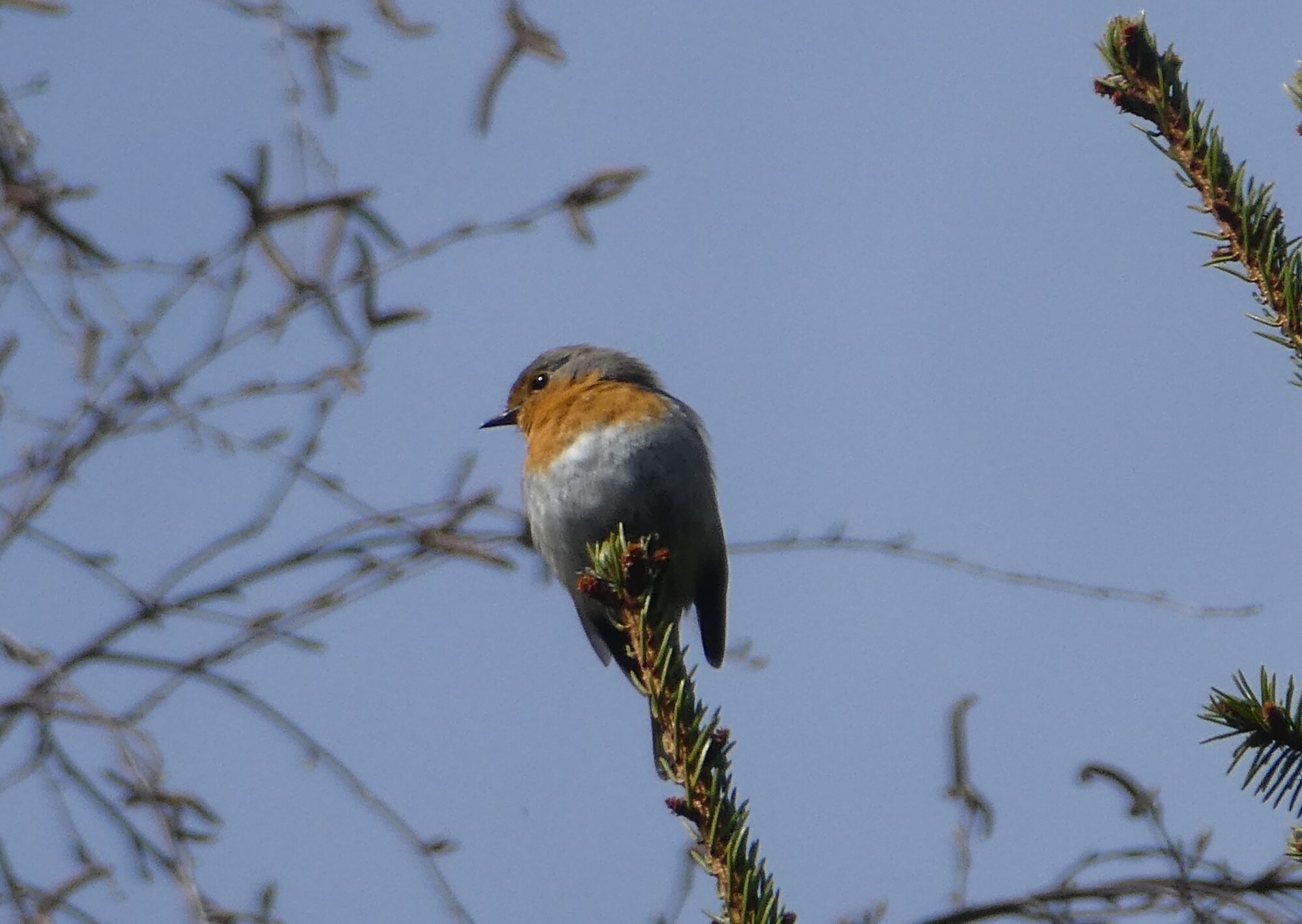Valokuvaaja: Anja Mustamaa Valokuvaaja: Anja Mustamaa