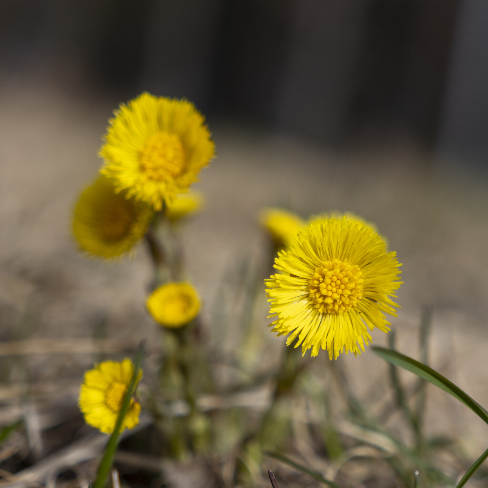 Valokuvaaja: Hannu Tikkanen