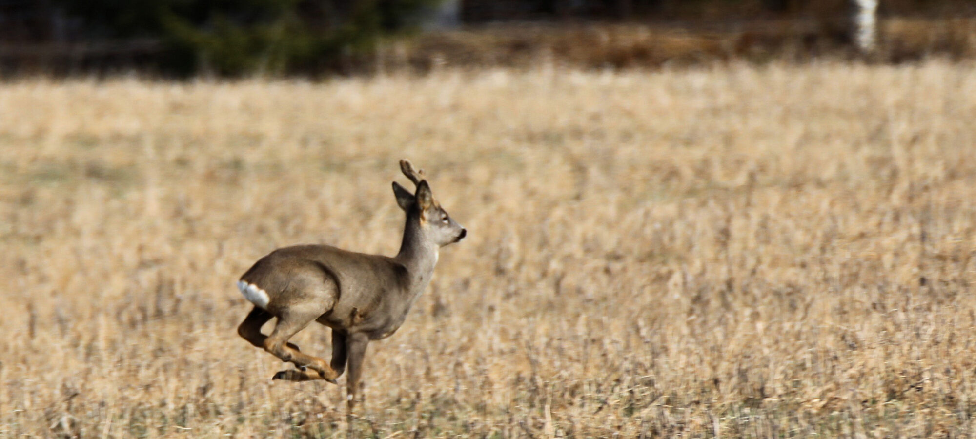 Valokuvaaja: Ahti Keränen