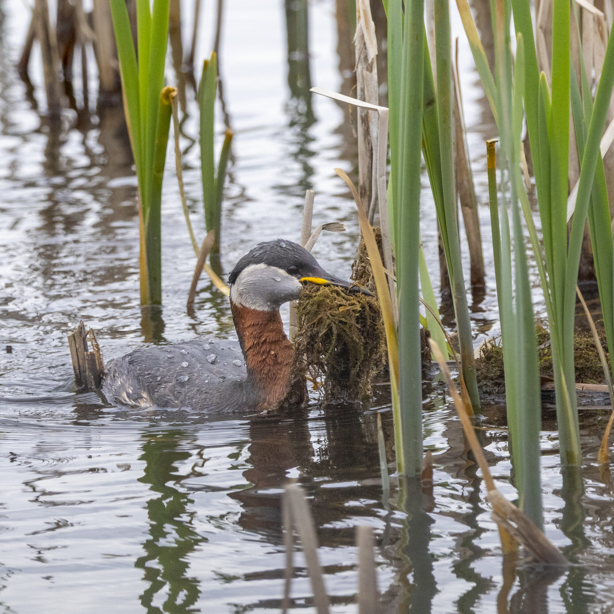 Valokuvaaja: Hannu Tikkanen