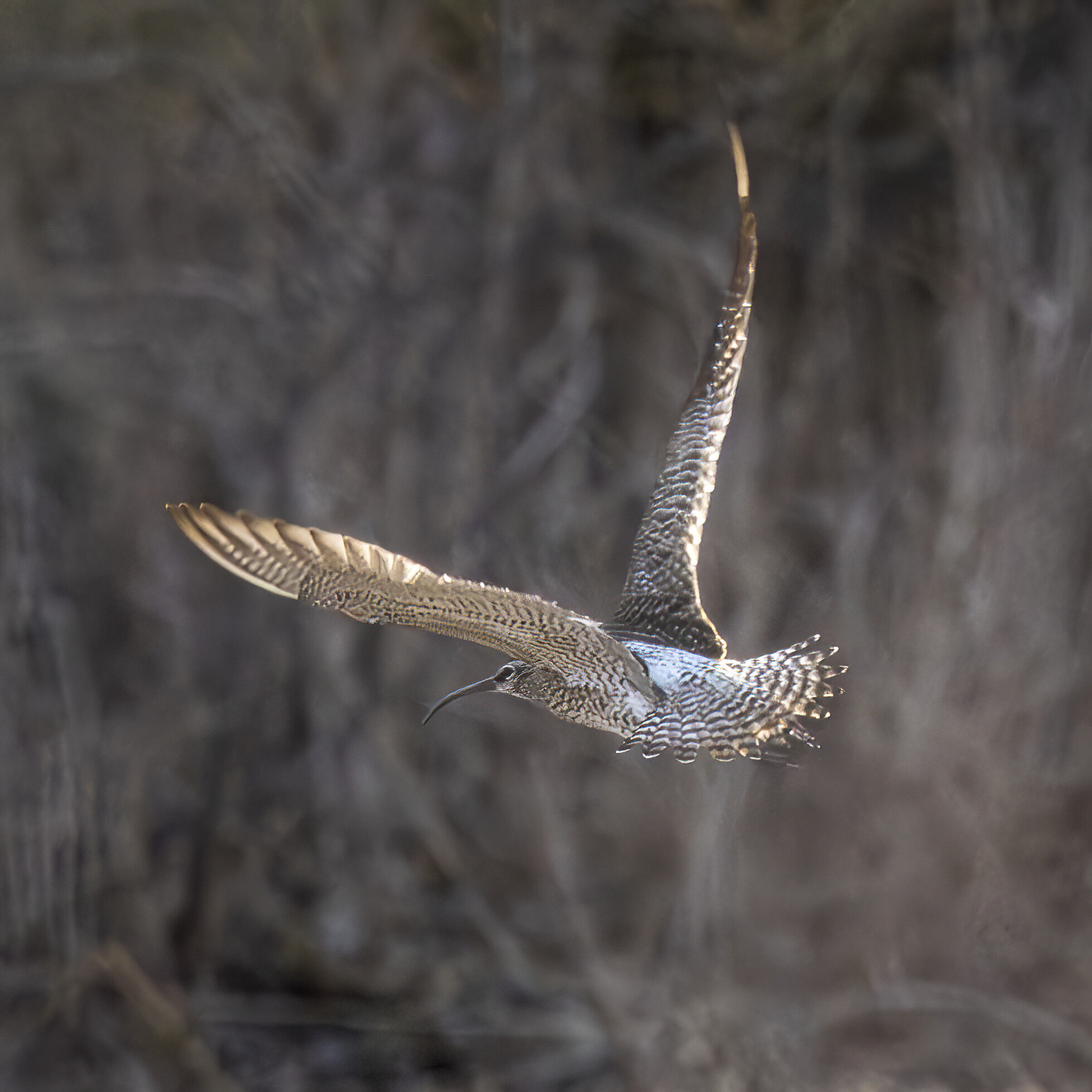 Valokuvaaja: Hannu Tikkanen