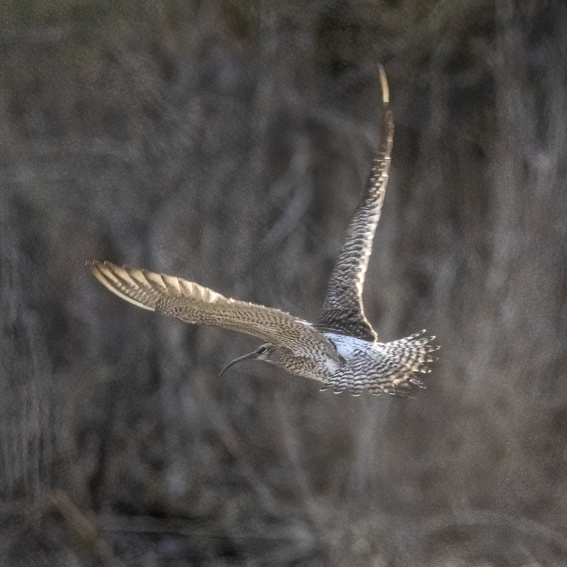 Valokuvaaja: Hannu Tikkanen