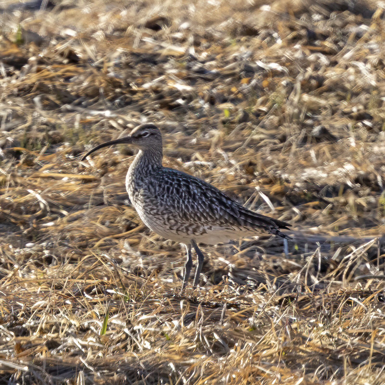 Valokuvaaja: Hannu Tikkanen