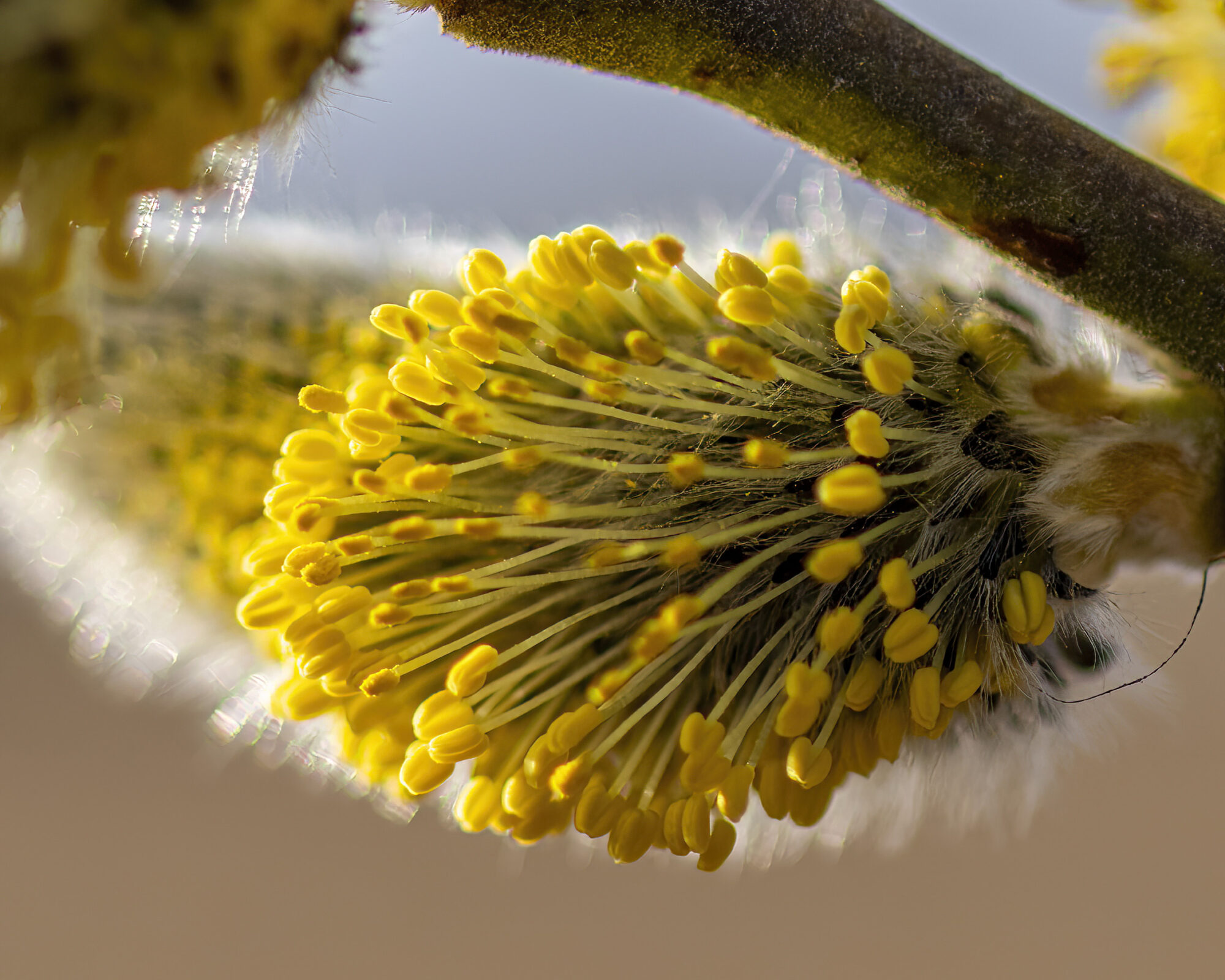Valokuvaaja: Hannu Tikkanen