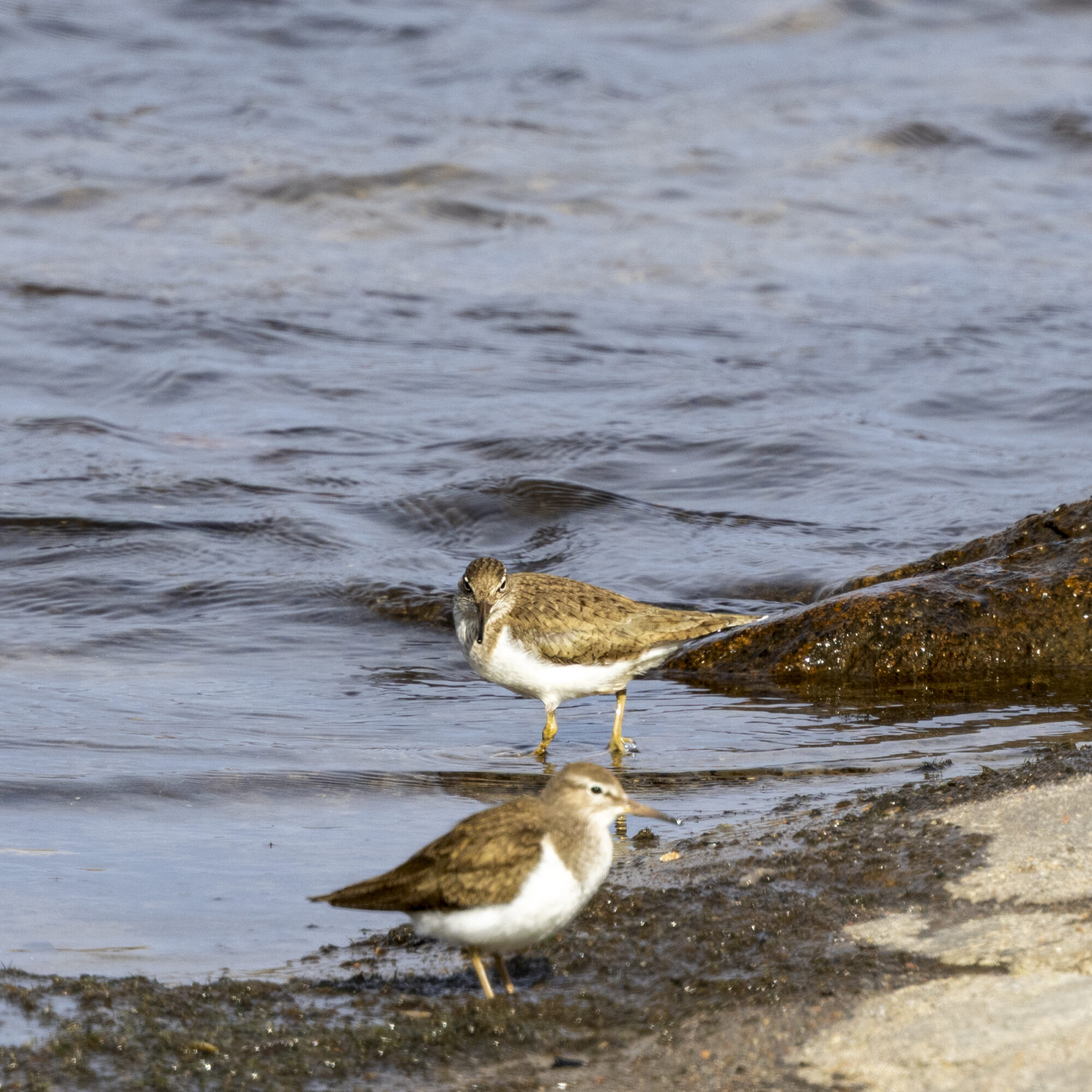 Valokuvaaja: Hannu Tikkanen Valokuvaaja: Hannu Tikkanen
