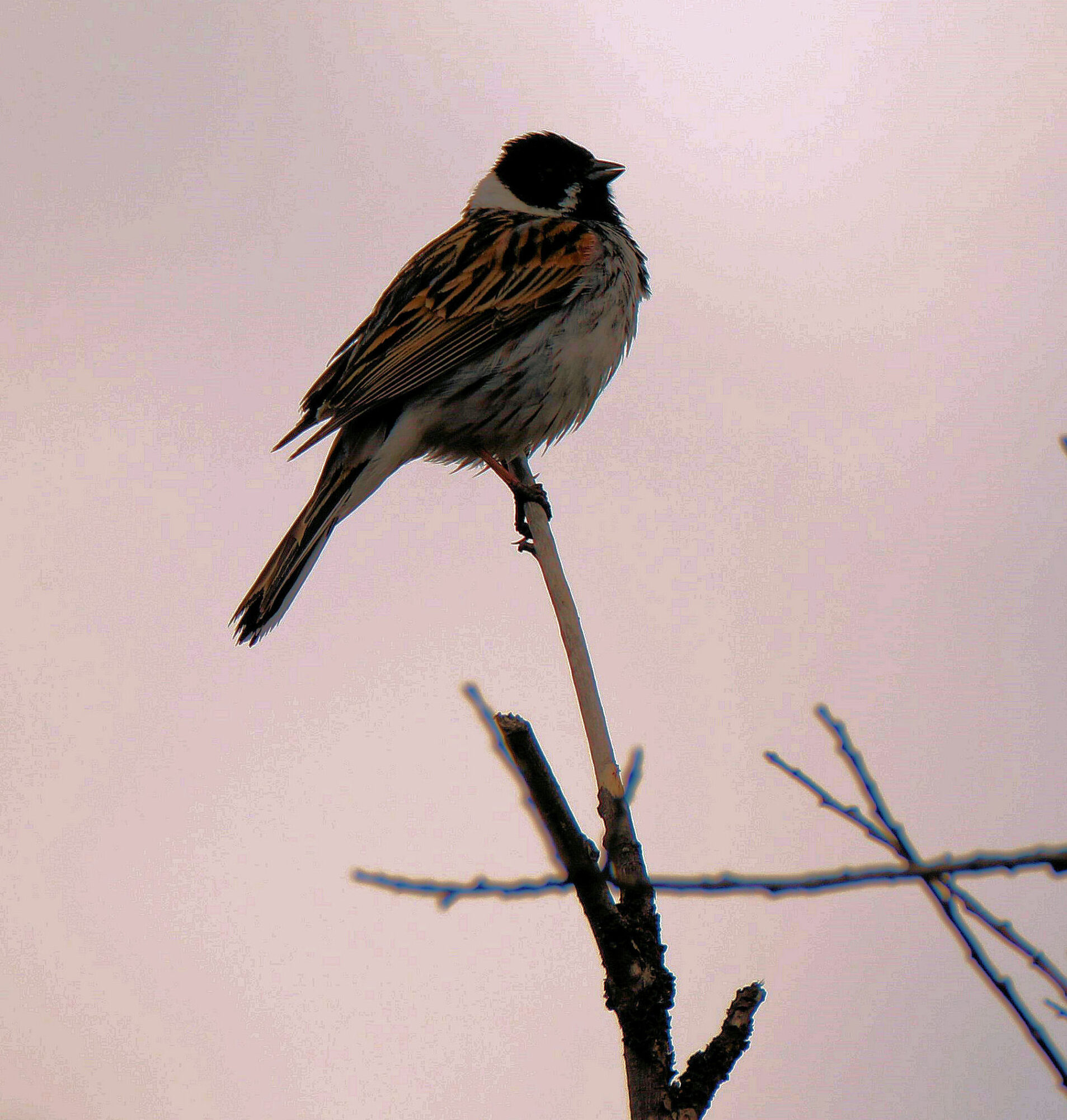 Valokuvaaja: Ahti keränen