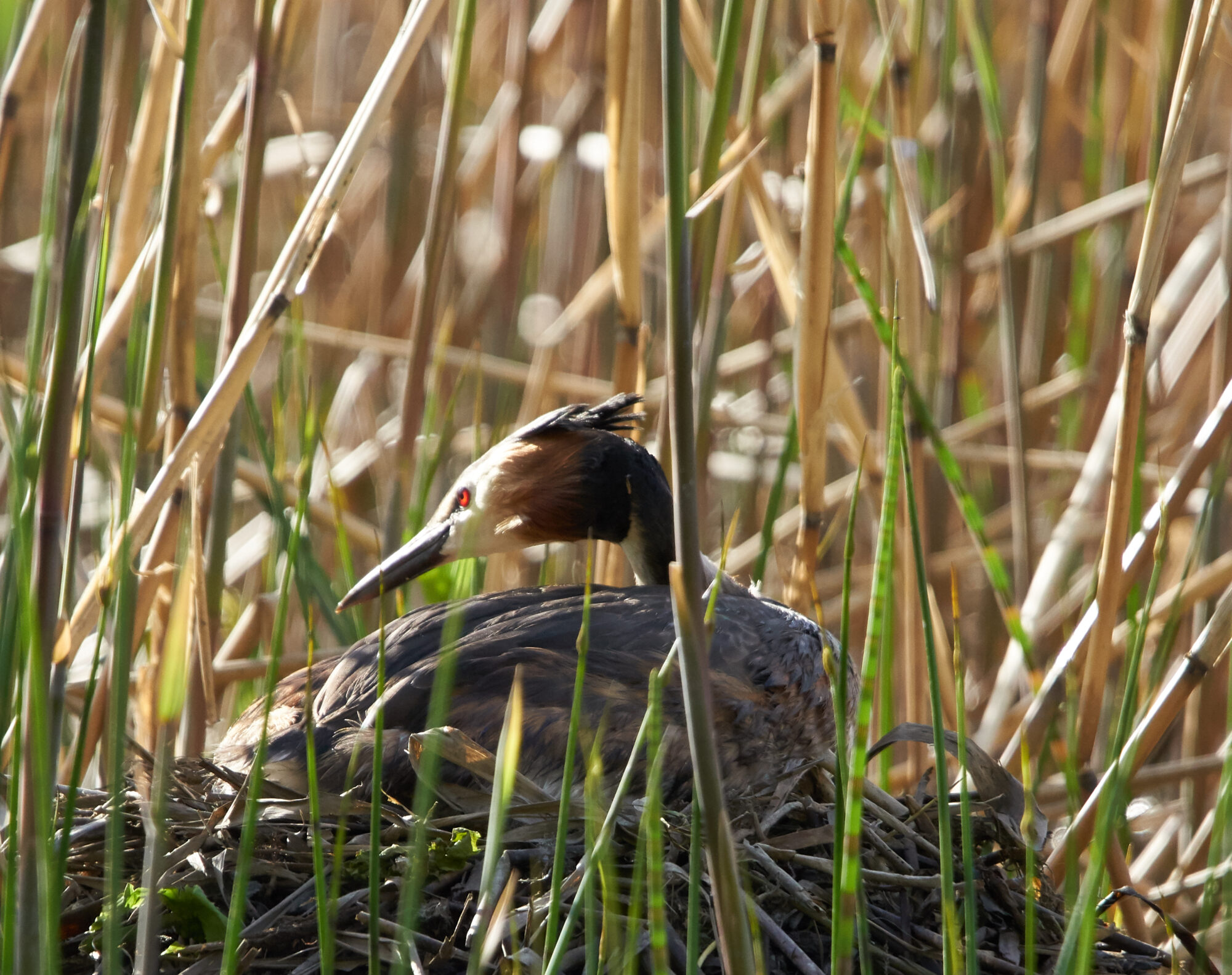 Valokuvaaja: Tarja Kouvo