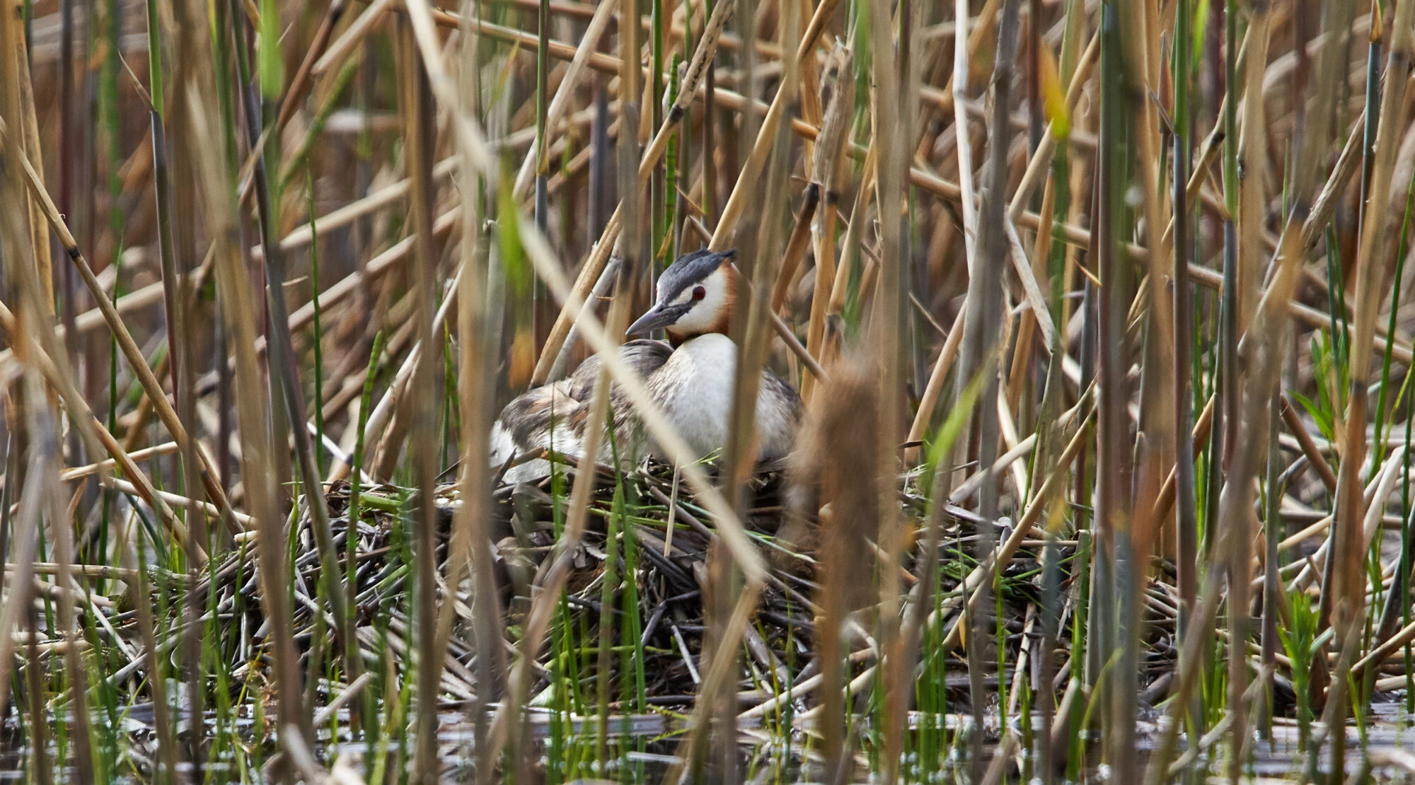 Valokuvaaja: Tarja Kouvo