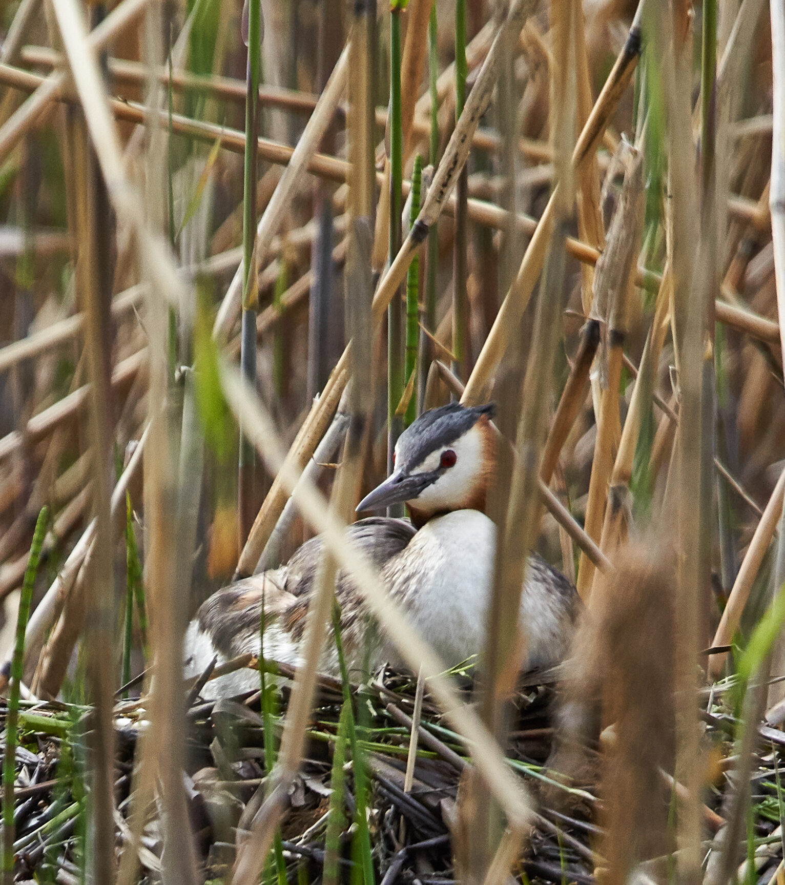 Valokuvaaja: Tarja Kouvo