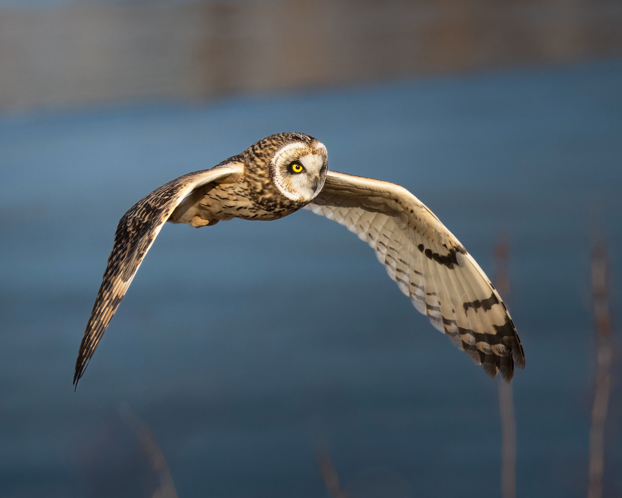 Valokuvaaja: Laura Lehtola