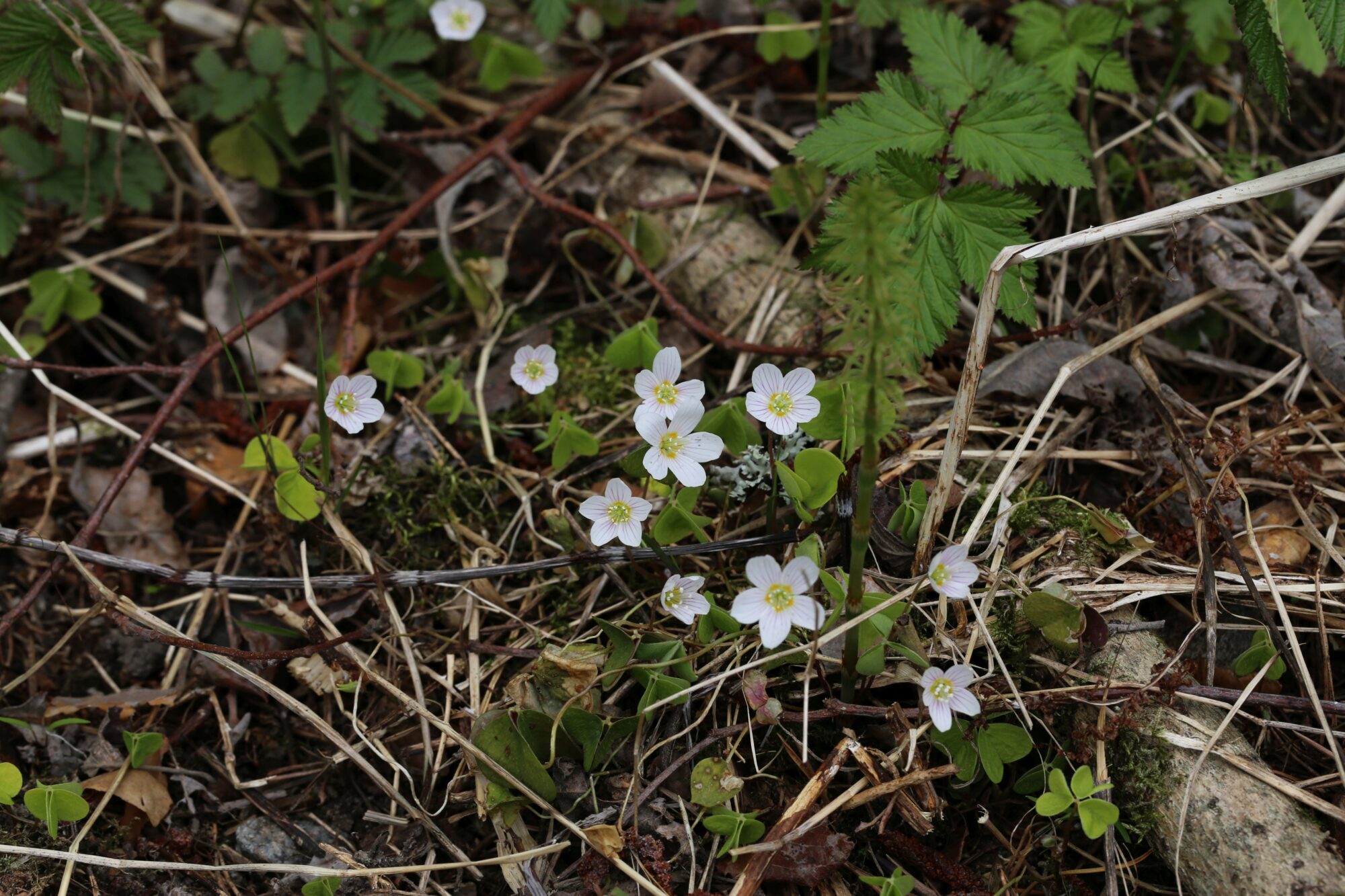 Valokuvaaja: Jaana Saarelainen
