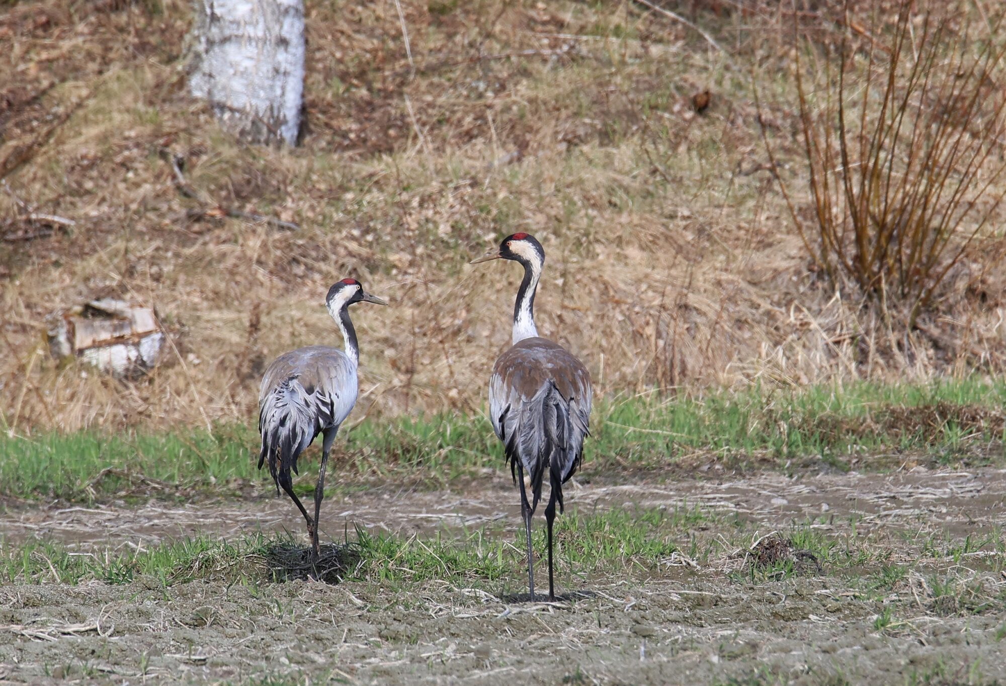 Valokuvaaja: Jaana Saarelainen