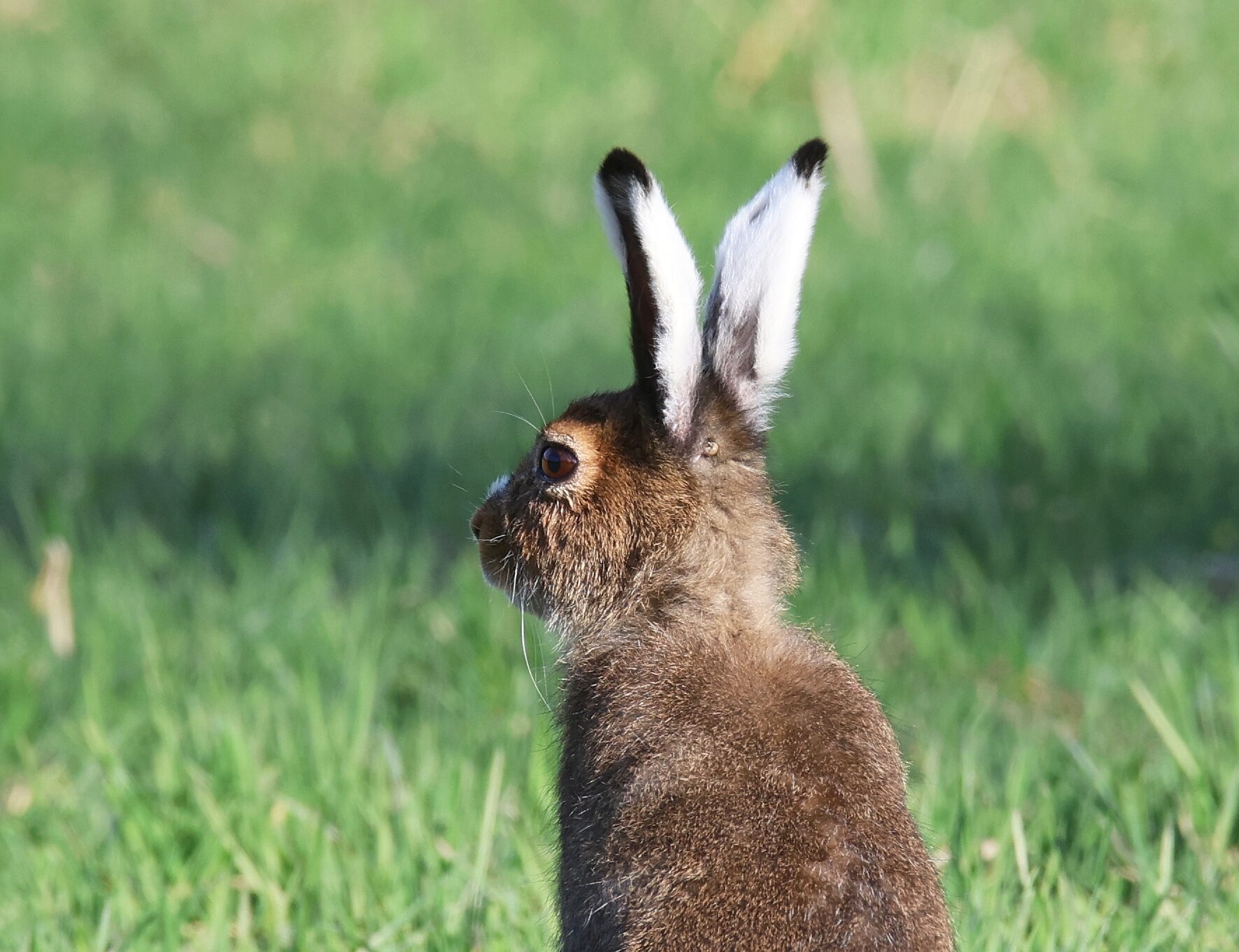 Valokuvaaja: Jaana Saarelainen