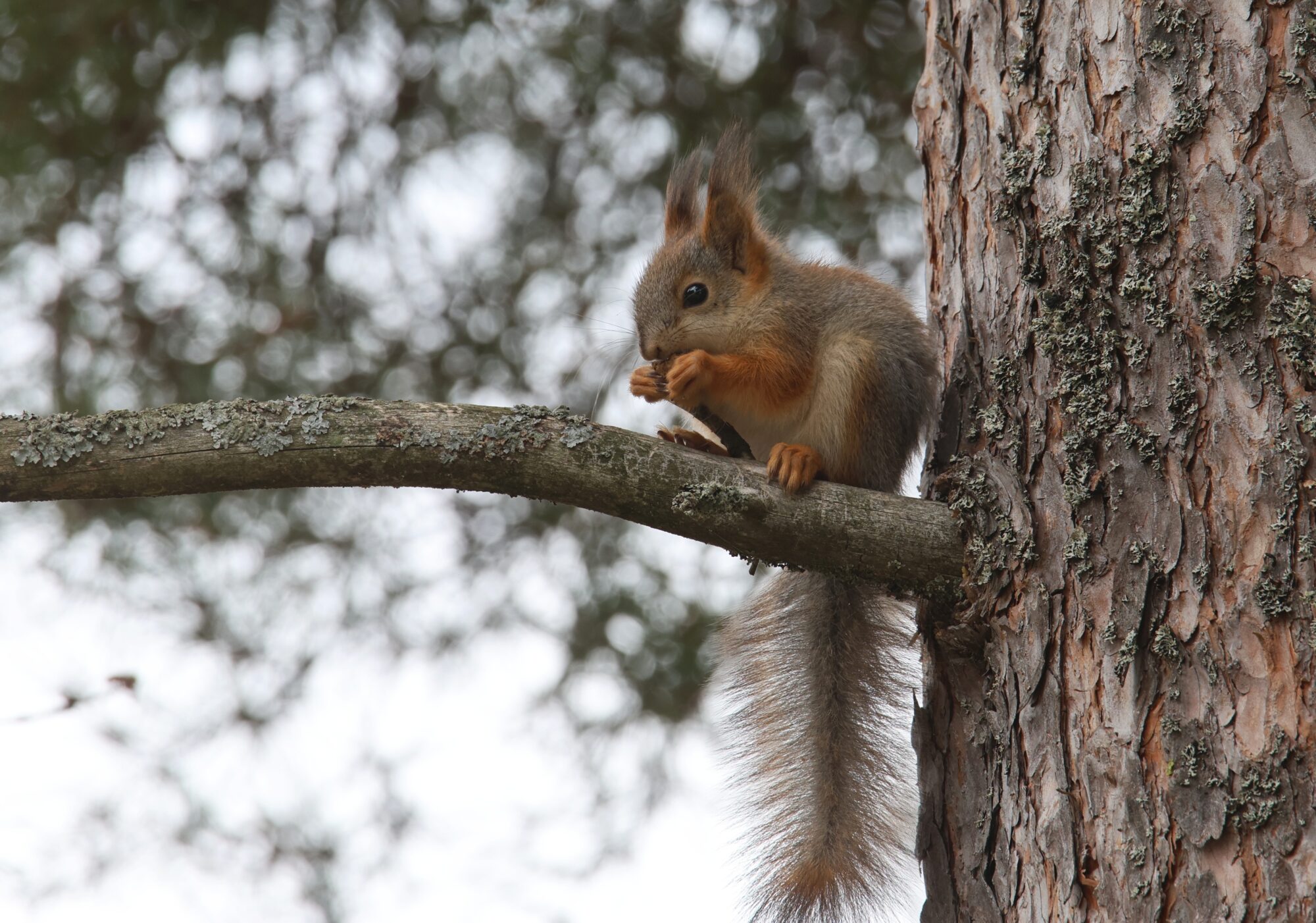 Valokuvaaja: Jaana Saarelainen