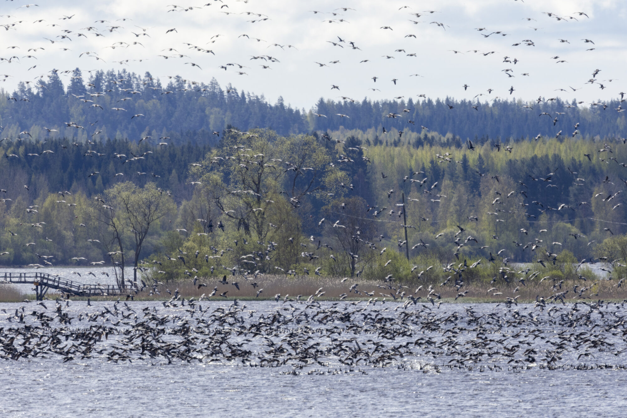 Valokuvaaja: Hannu Tikkanen
