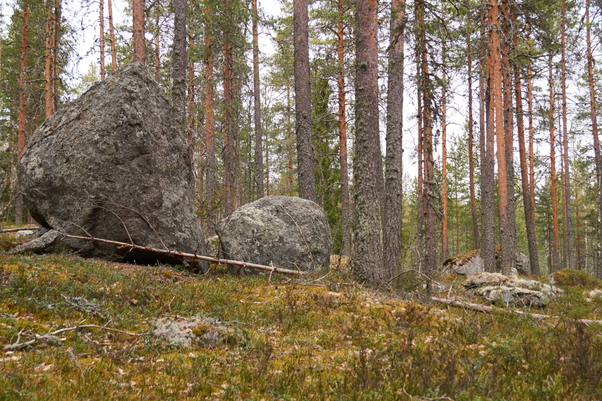 Valokuvaaja: Tarja Kouvo