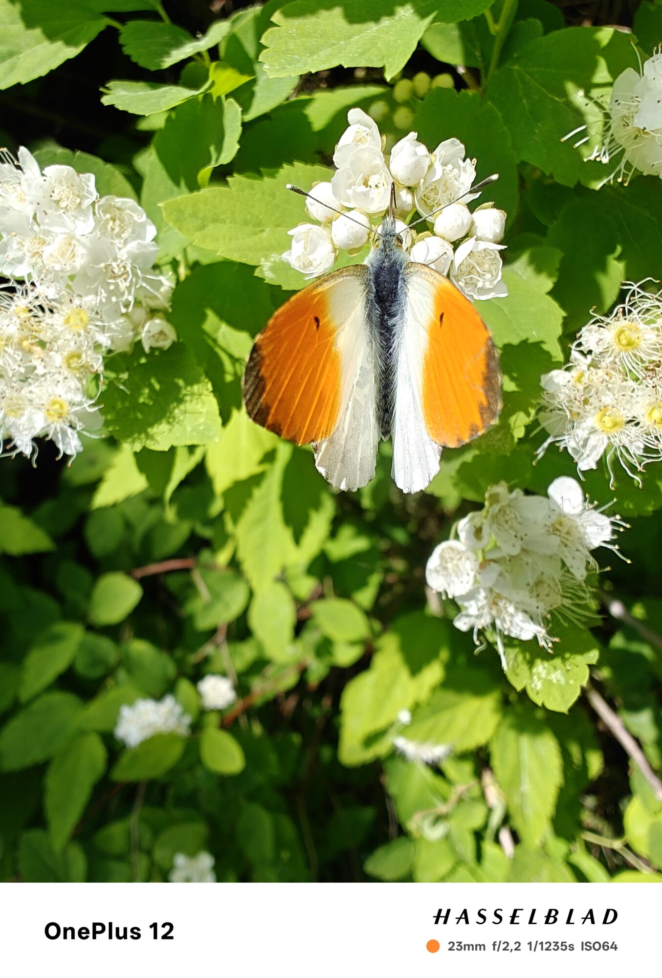 Valokuvaaja: Eija Johanna Saastamoinen