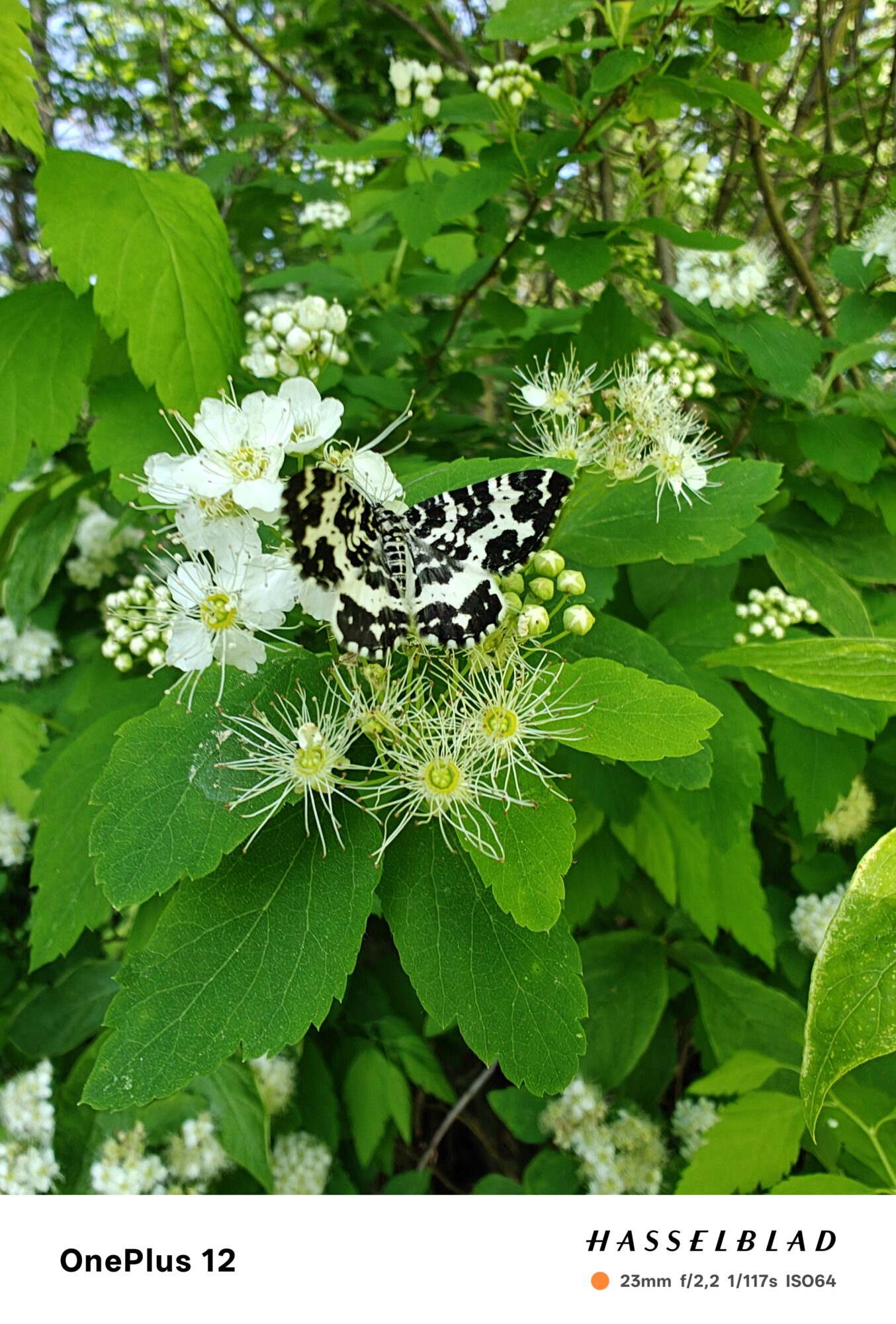 Valokuvaaja: Eija Johanna Saastamoinen