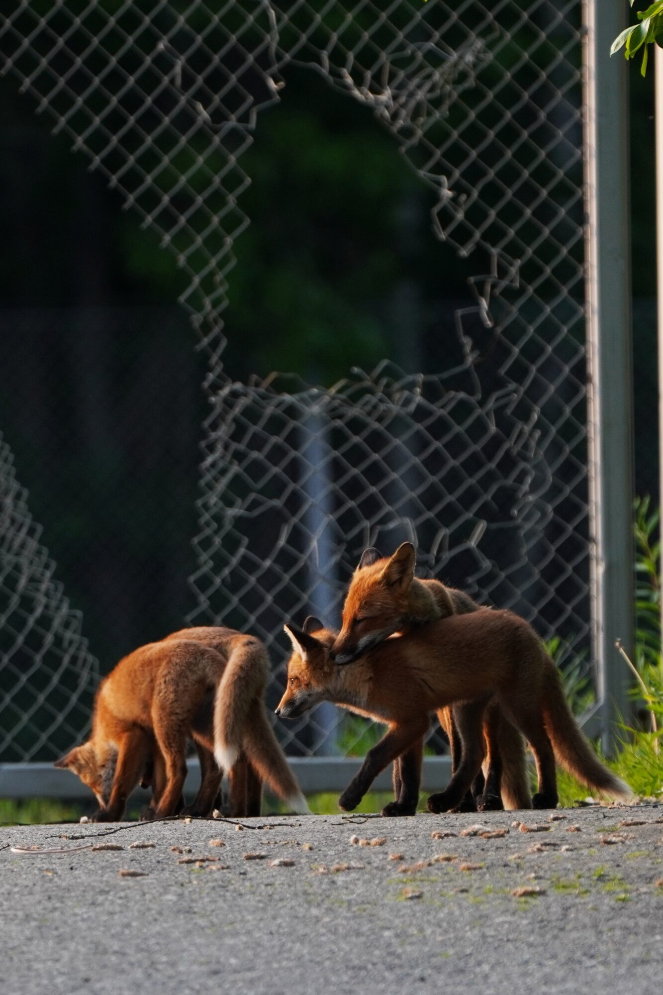 Valokuvaaja: Samu Leinonen