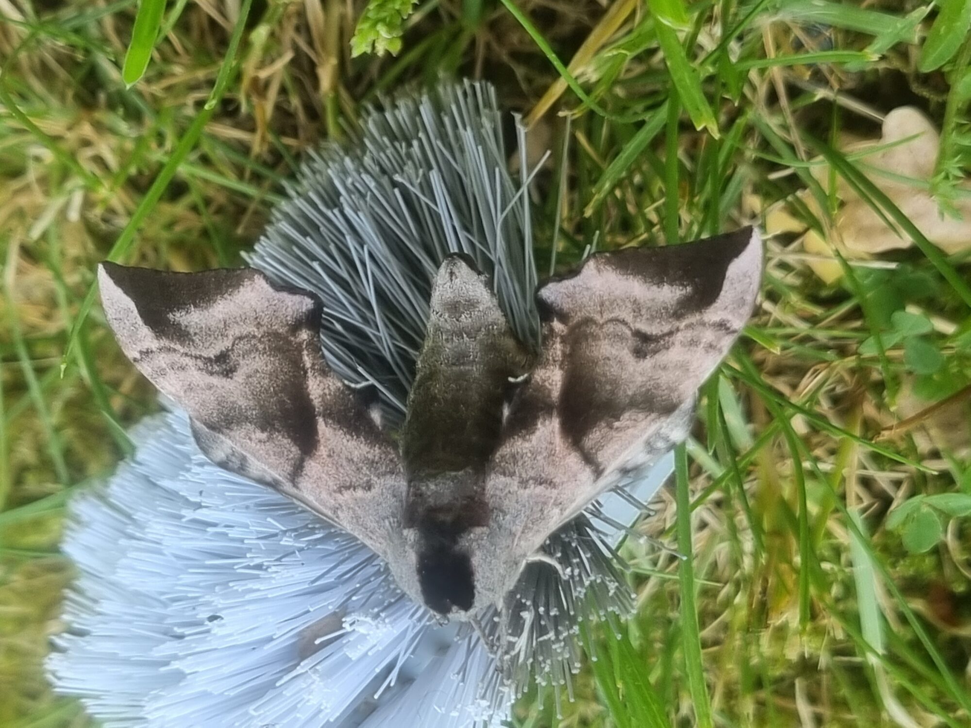 Valokuvaaja: Pasi Kovanen