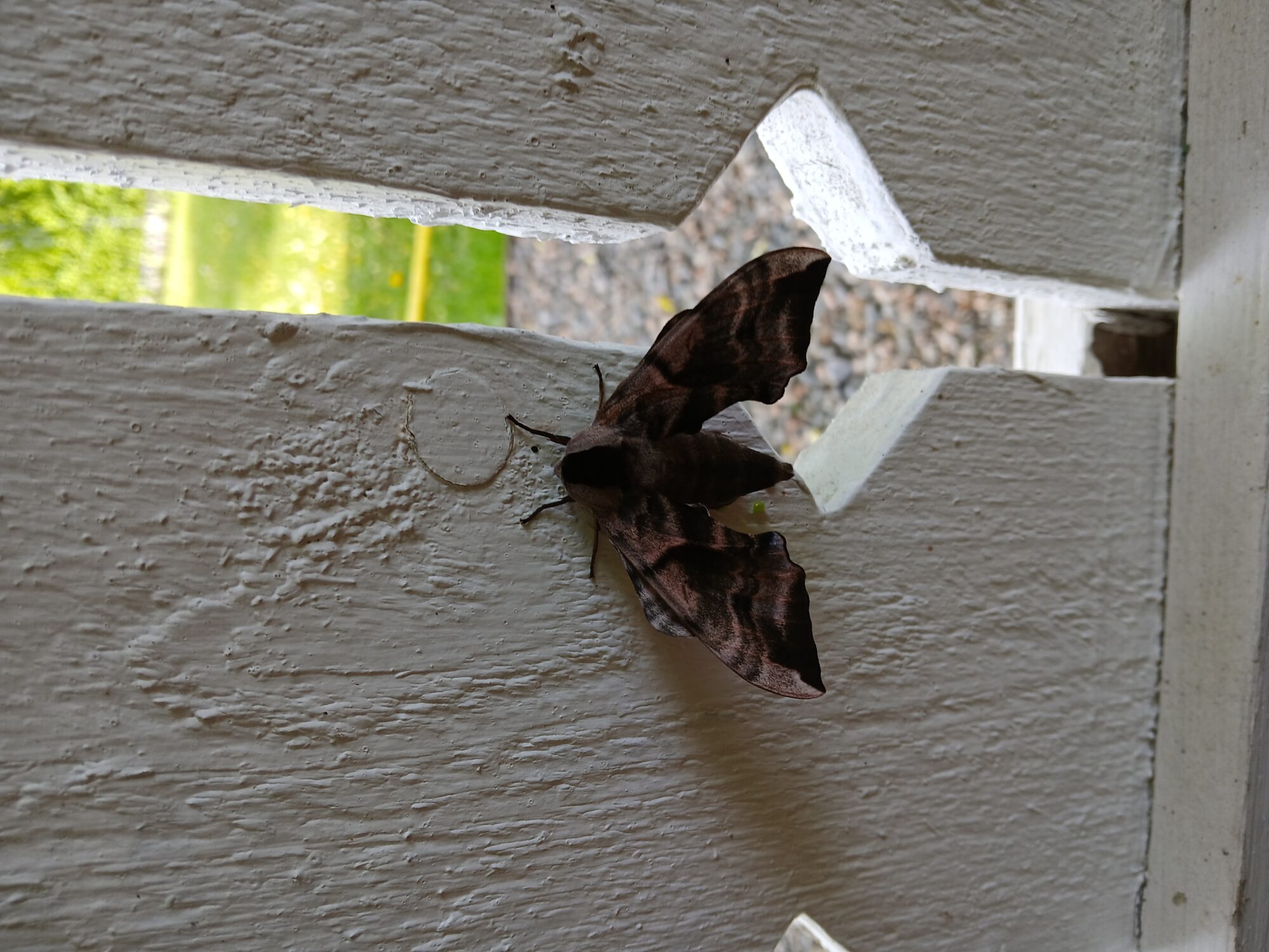 Valokuvaaja: Ari Hölsä Valokuvaaja: Ari Hölsä