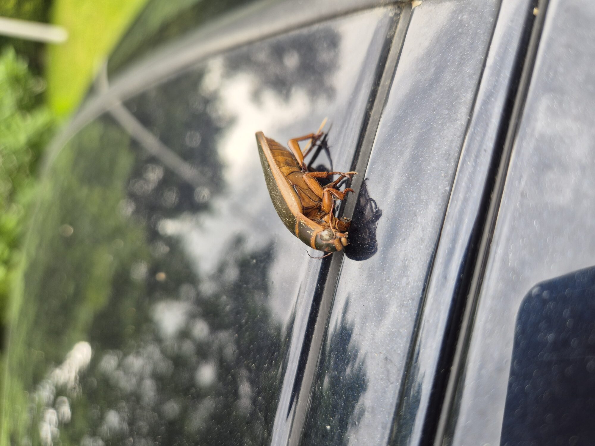 Valokuvaaja: Jarno Laitinen