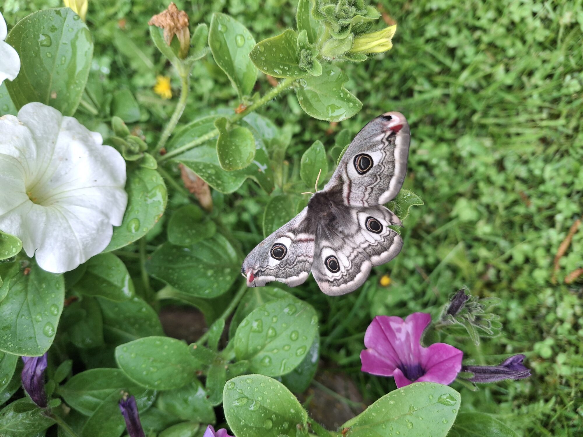 Valokuvaaja: Emmi Mäki