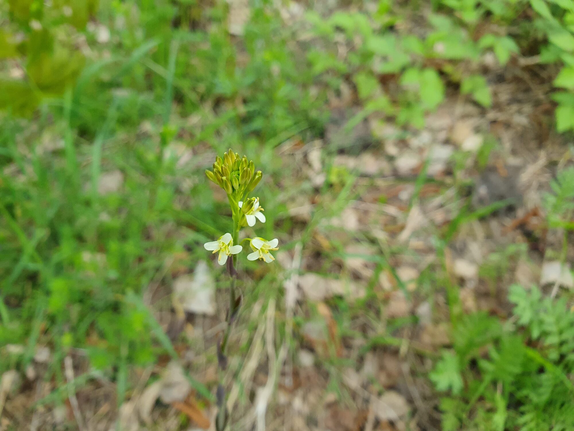 Valokuvaaja: Pirkko Tuulihovi