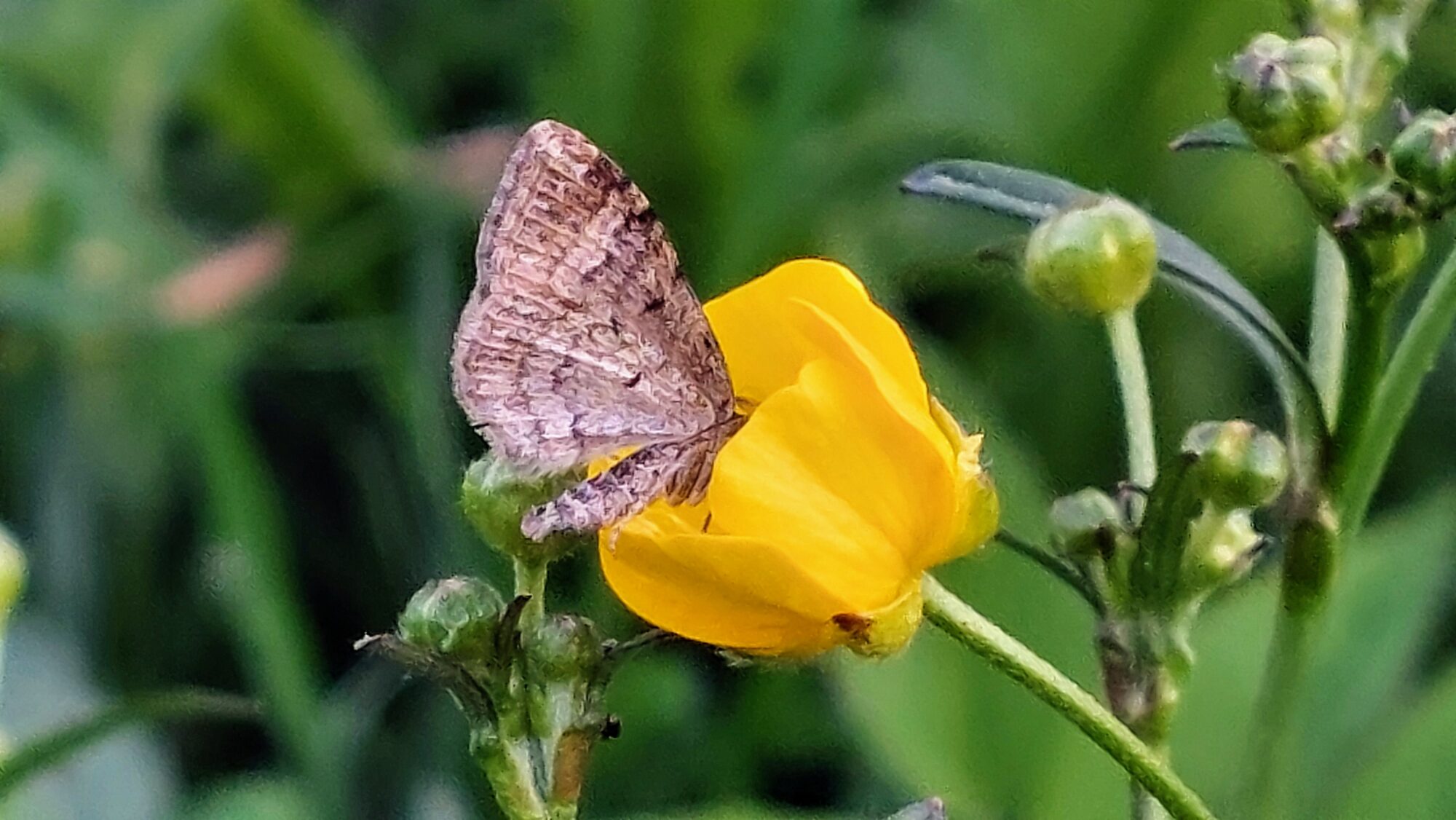 Valokuvaaja: Tarja Naukkarinen