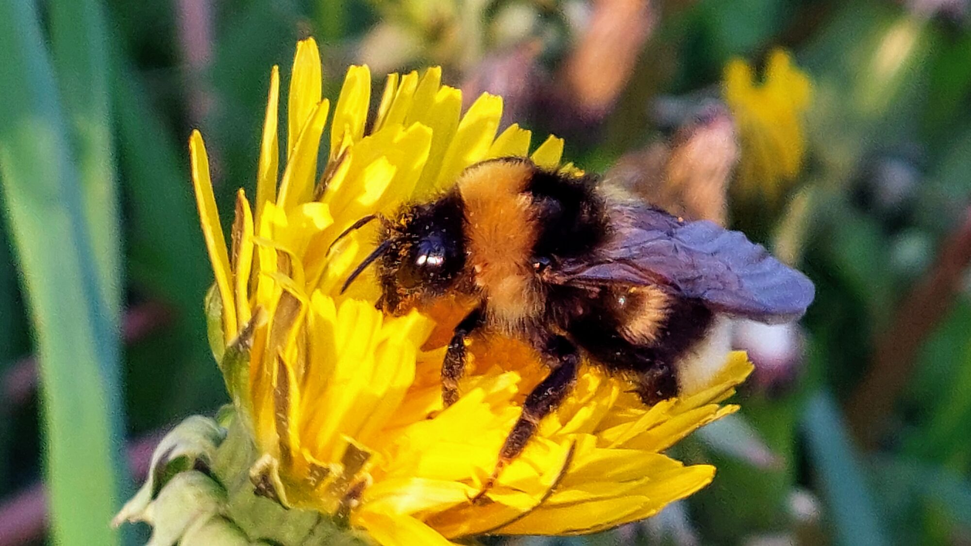 Valokuvaaja: Tarja Naukkarinen