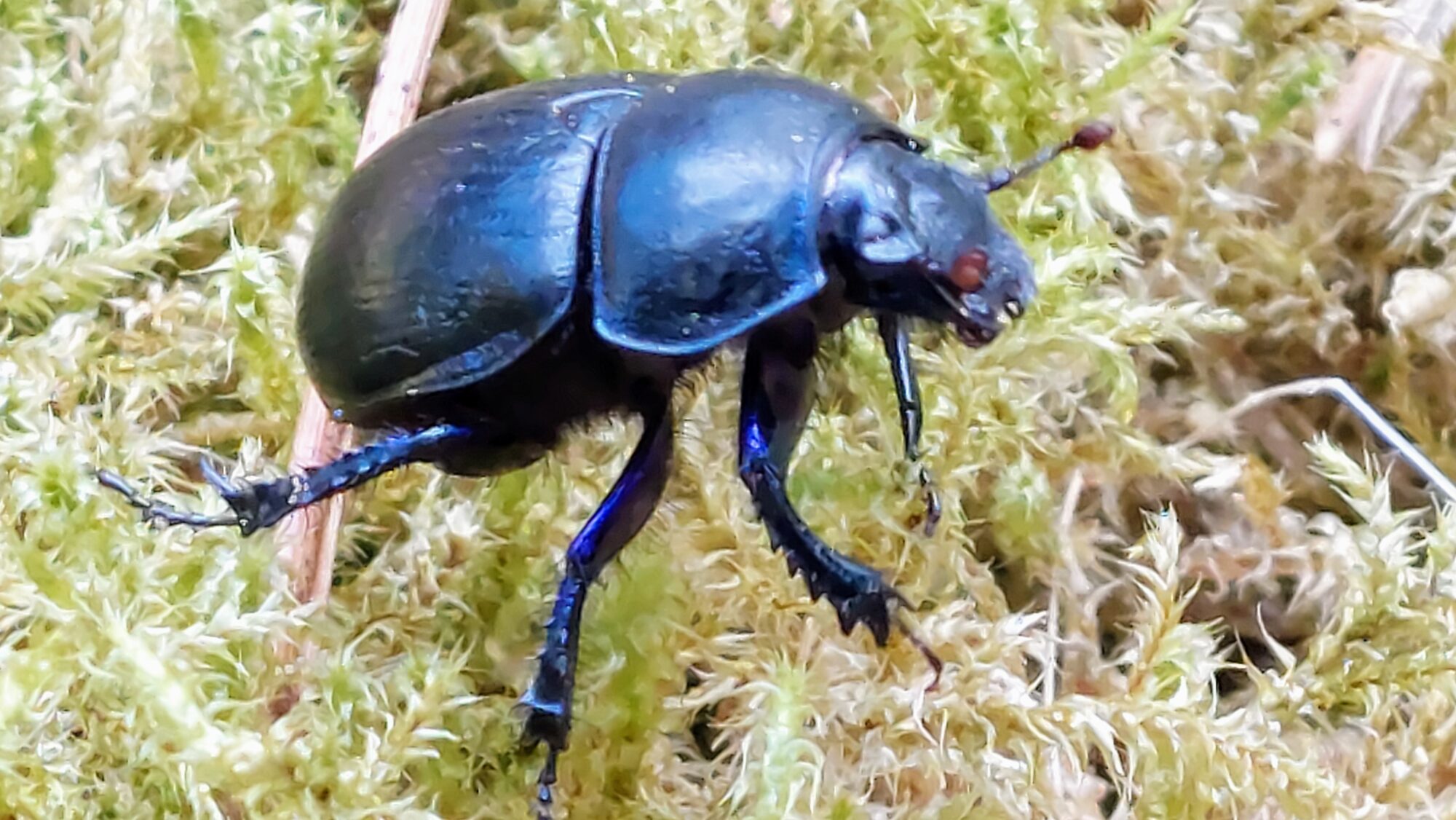 Valokuvaaja: Tarja Naukkarinen