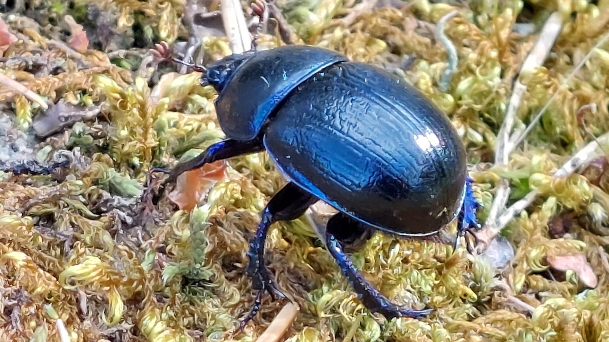 Valokuvaaja: Tarja Naukkarinen