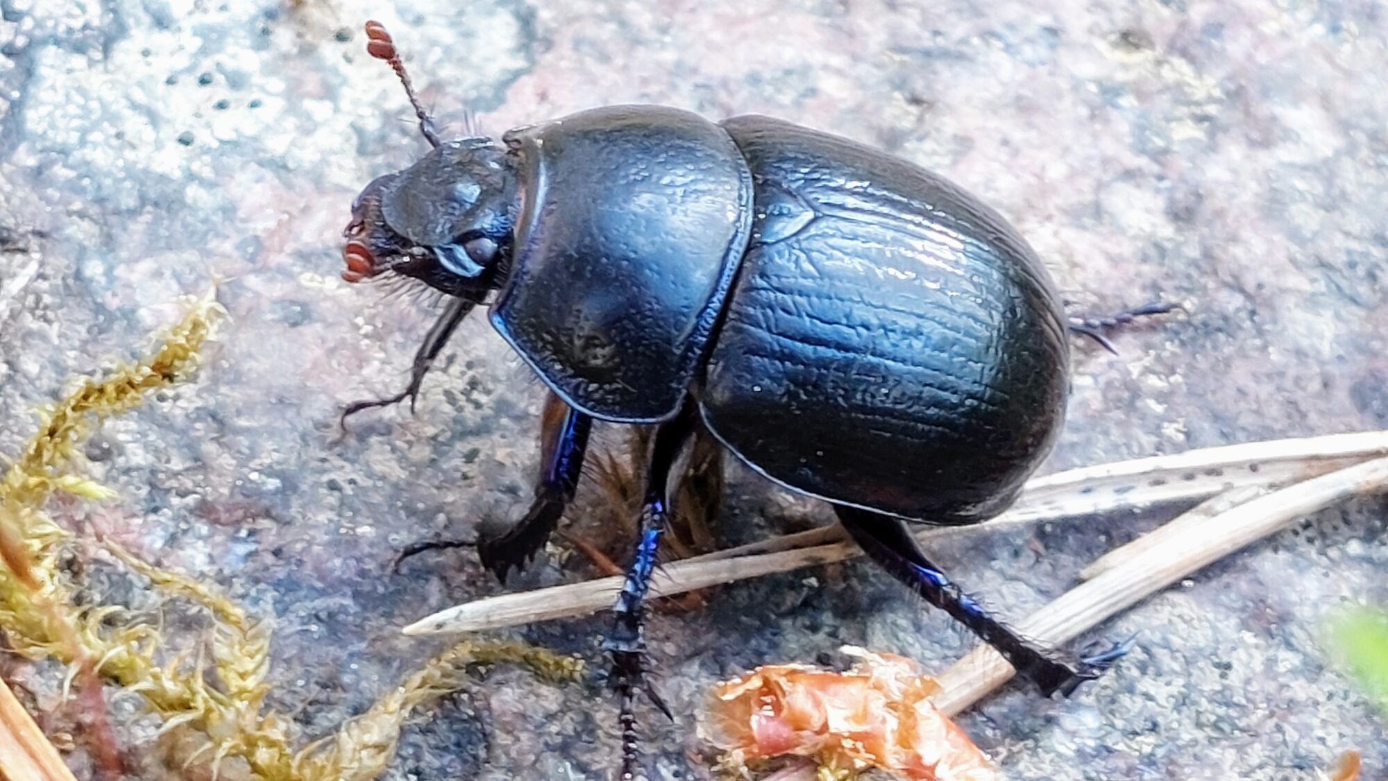 Valokuvaaja: Tarja Naukkarinen