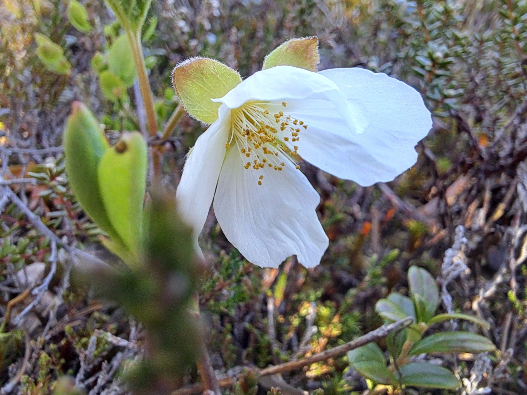 Valokuvaaja: Irja Lehtinen