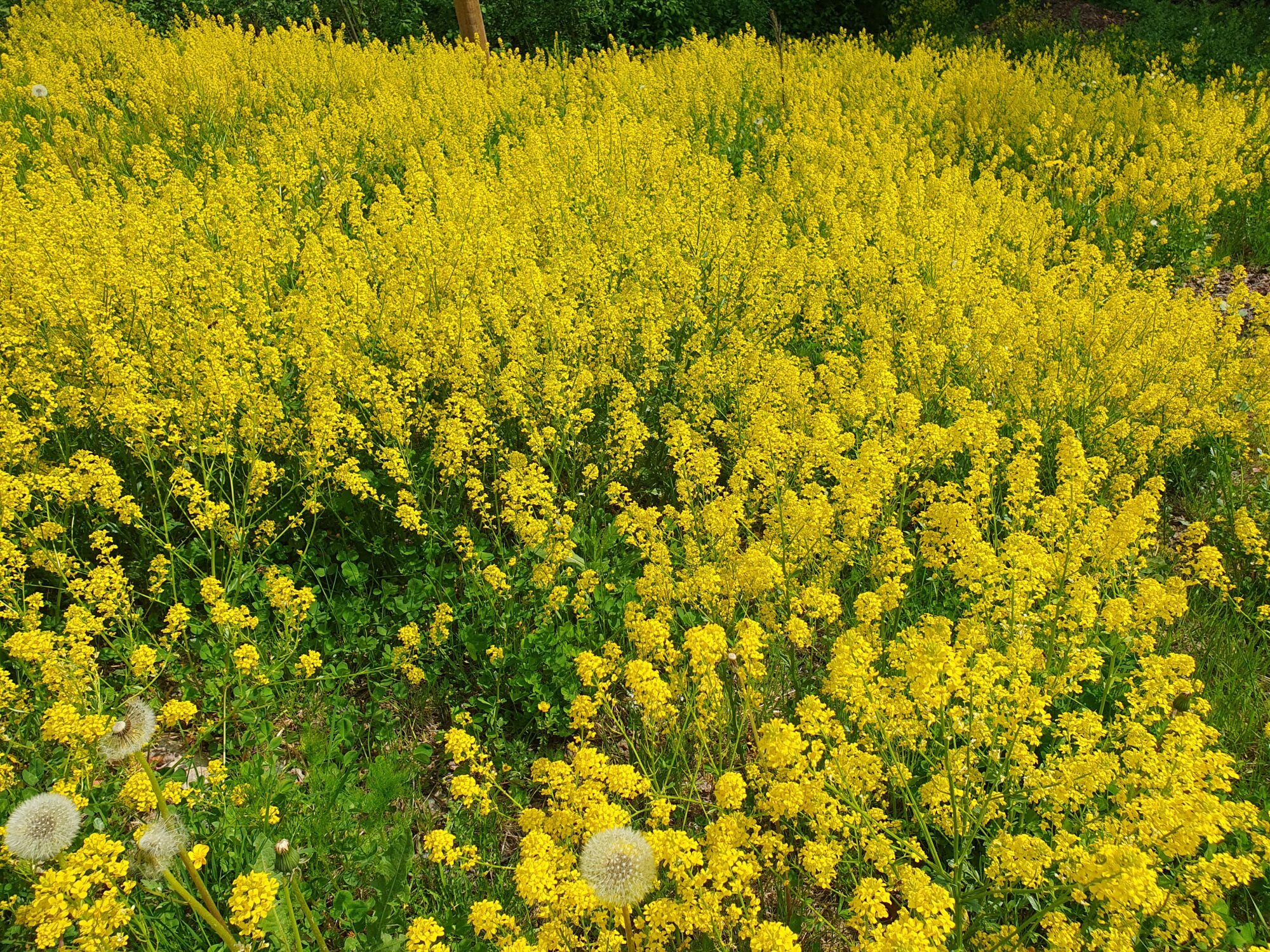 Valokuvaaja: Pirkko Tuulihovi